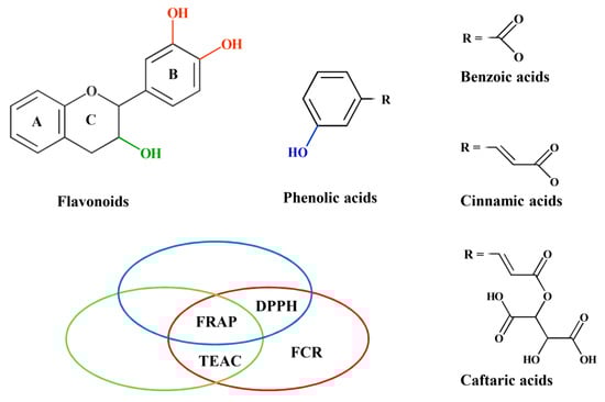 Molecules 21 00208 g002 550
