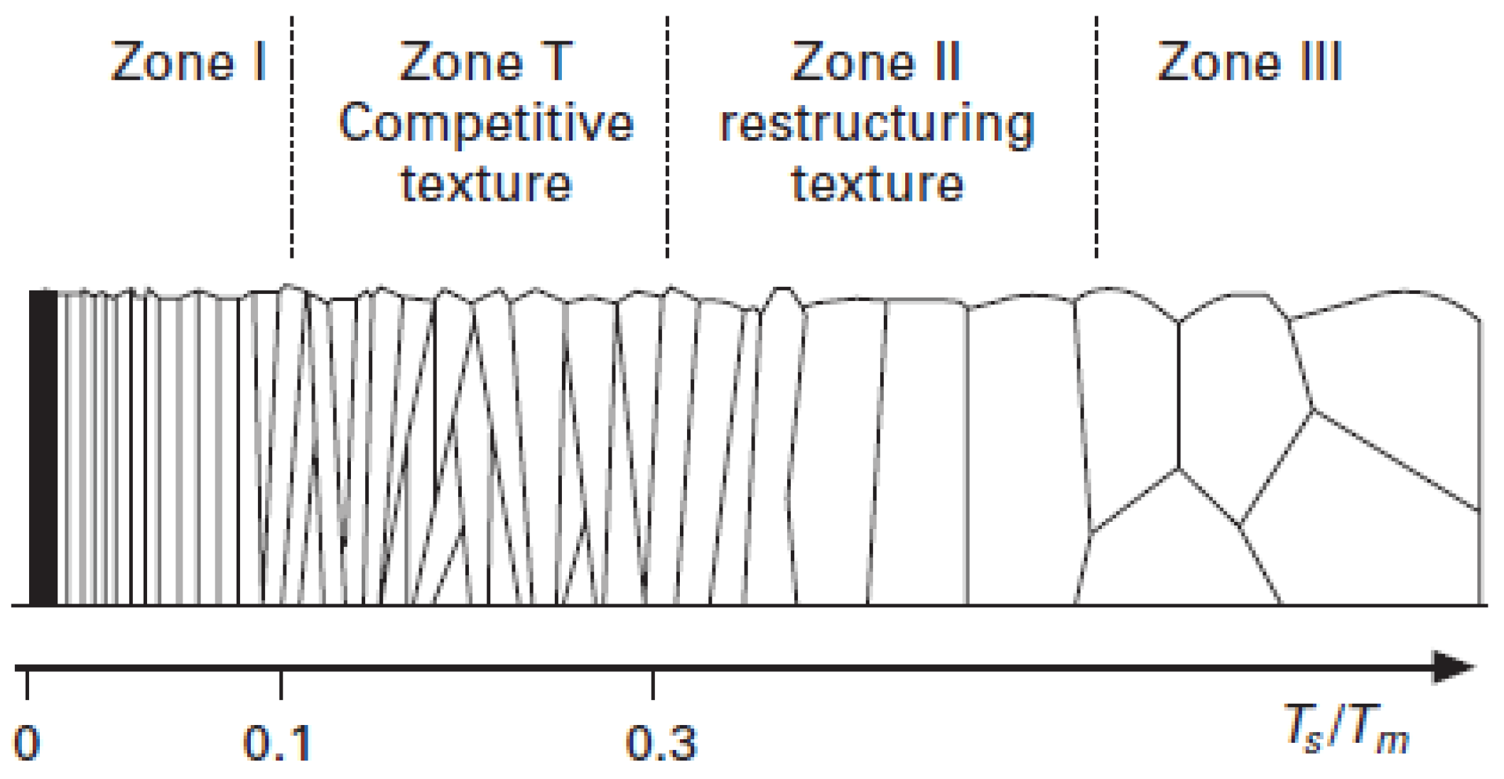 Molecules 21 00210 g007