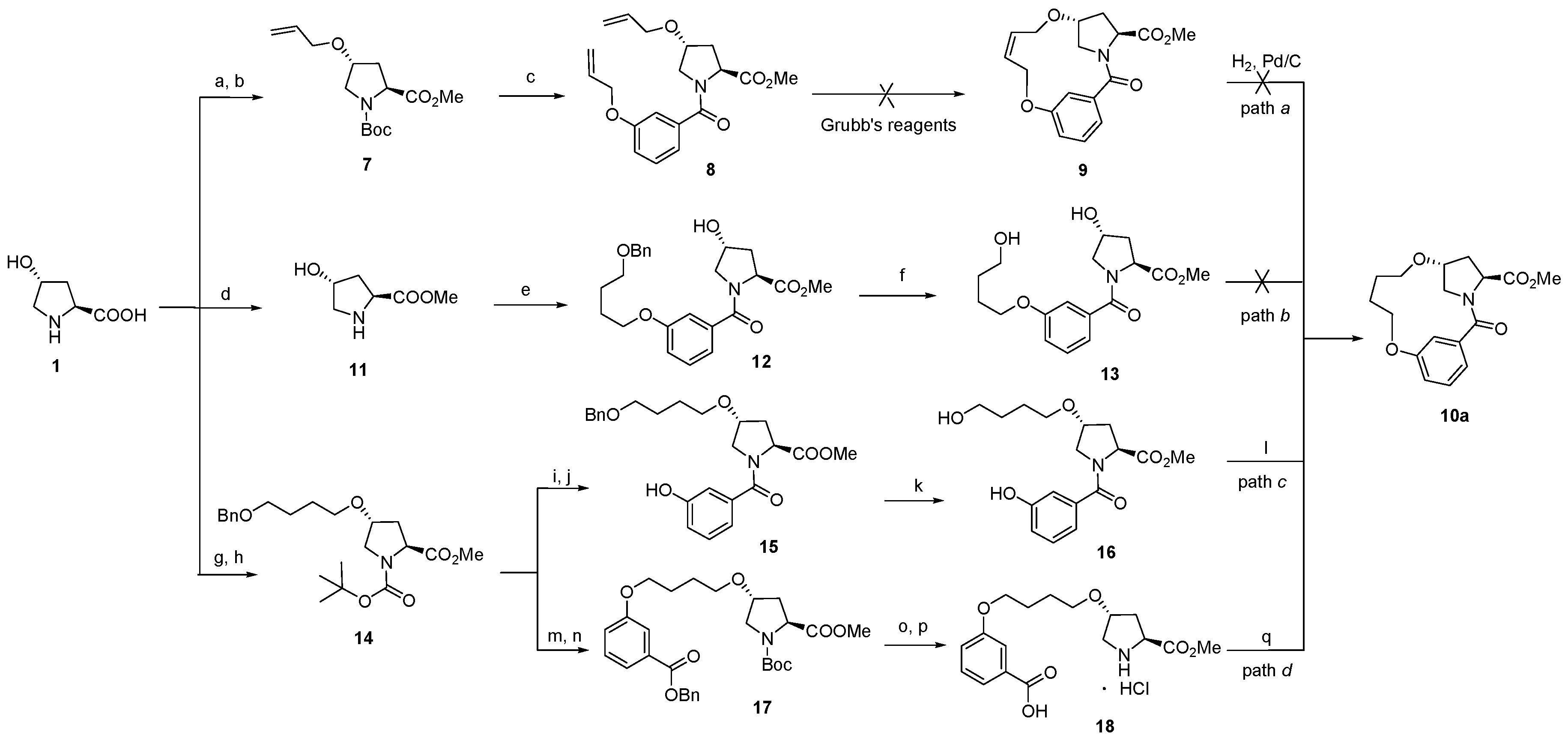 Molecules 21 00212 g004