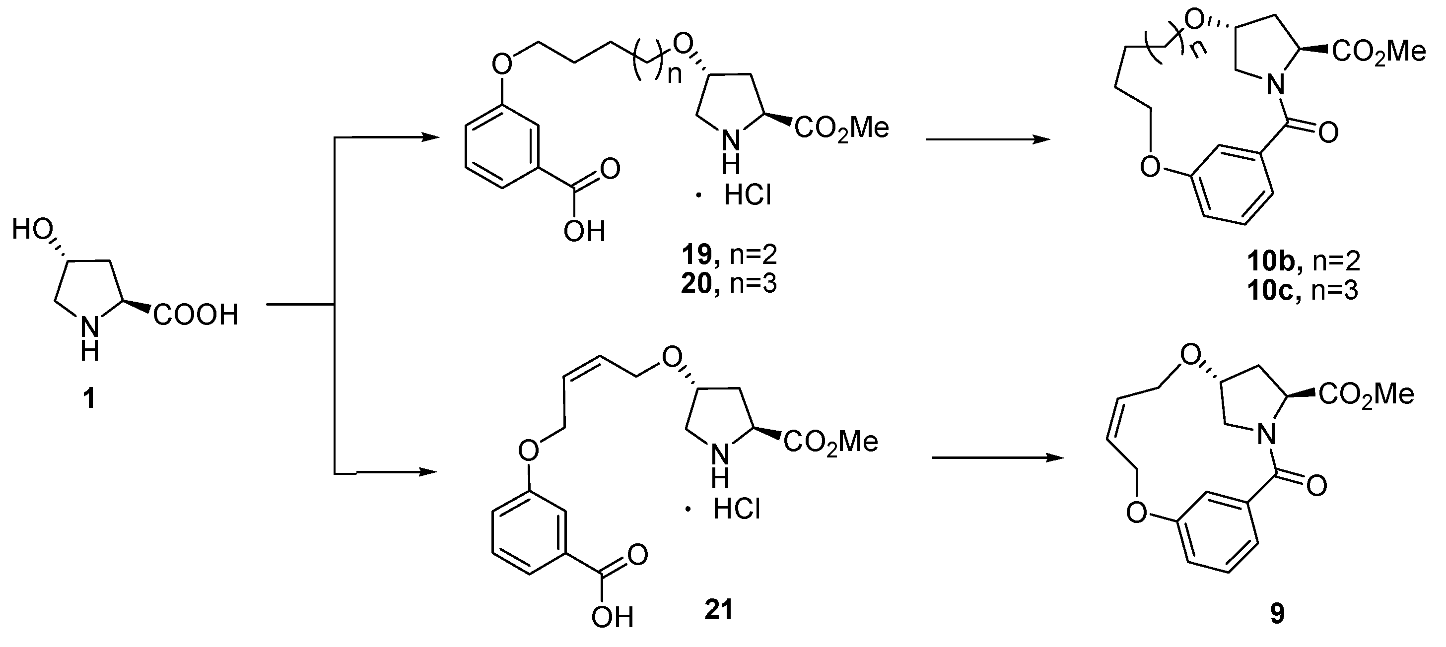 Molecules 21 00212 g005