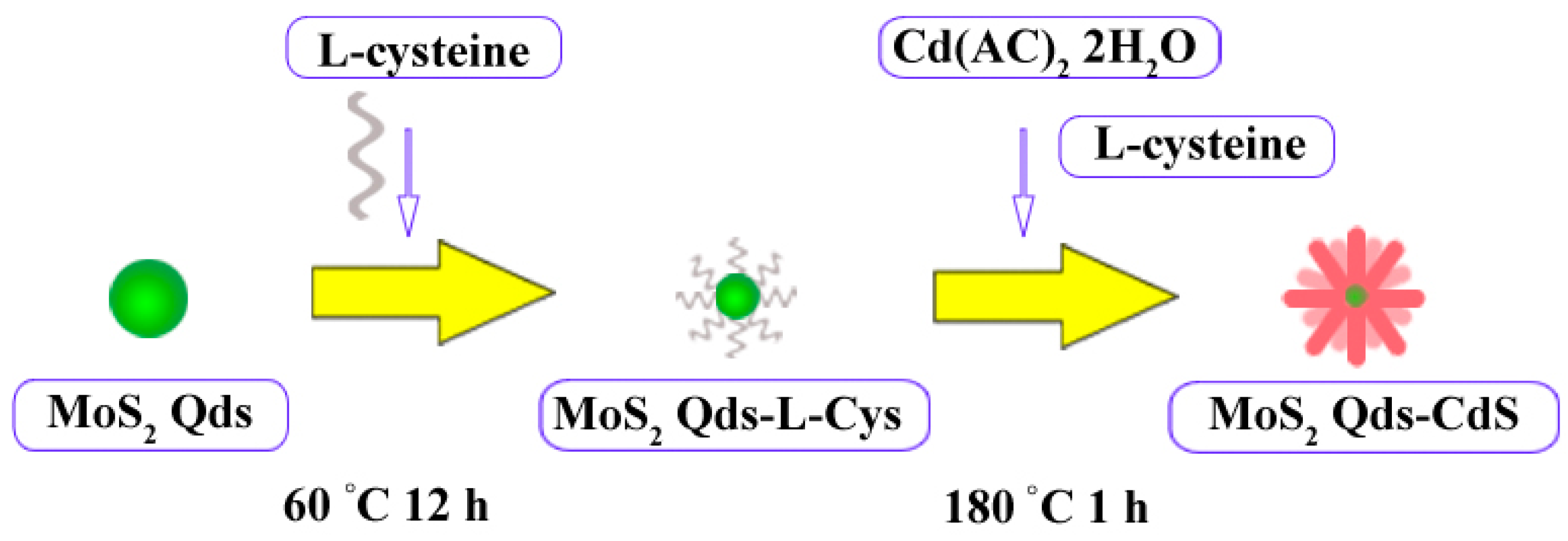 Molecules 21 00213 g004
