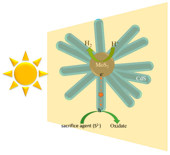 Molecules 21 00213 g010 550