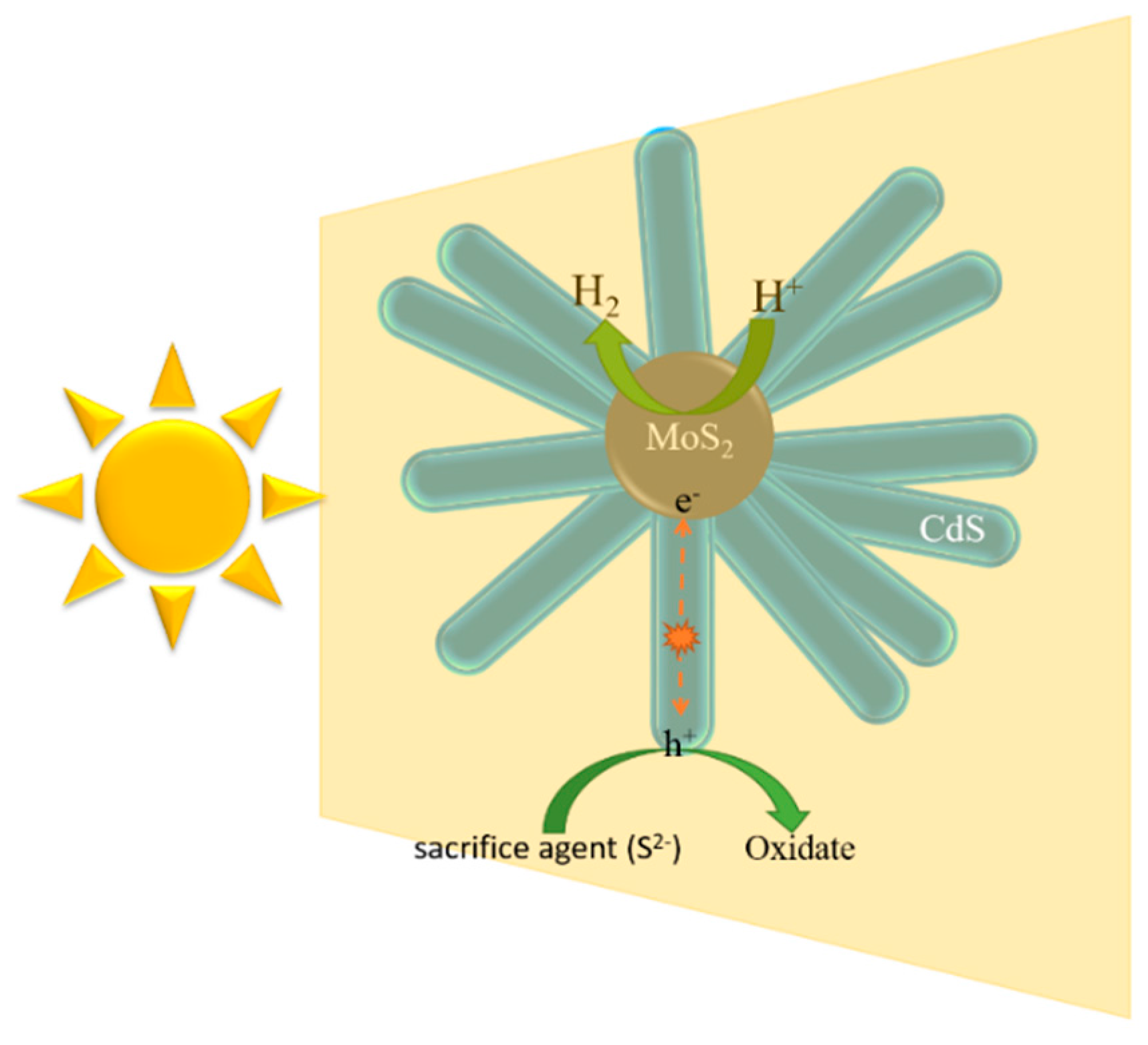 Molecules 21 00213 g010