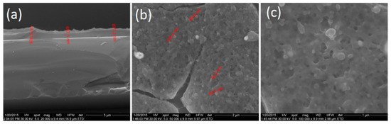 Molecules 21 00220 g004 550