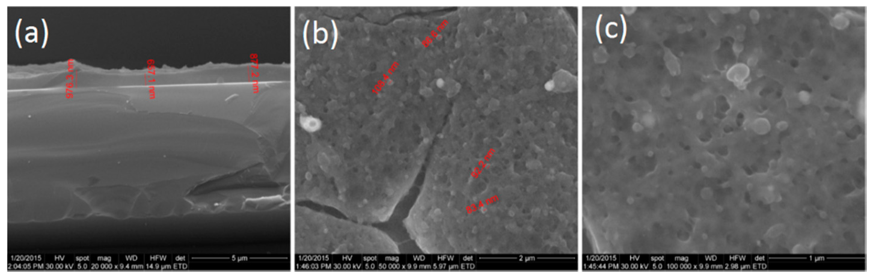 Molecules 21 00220 g004