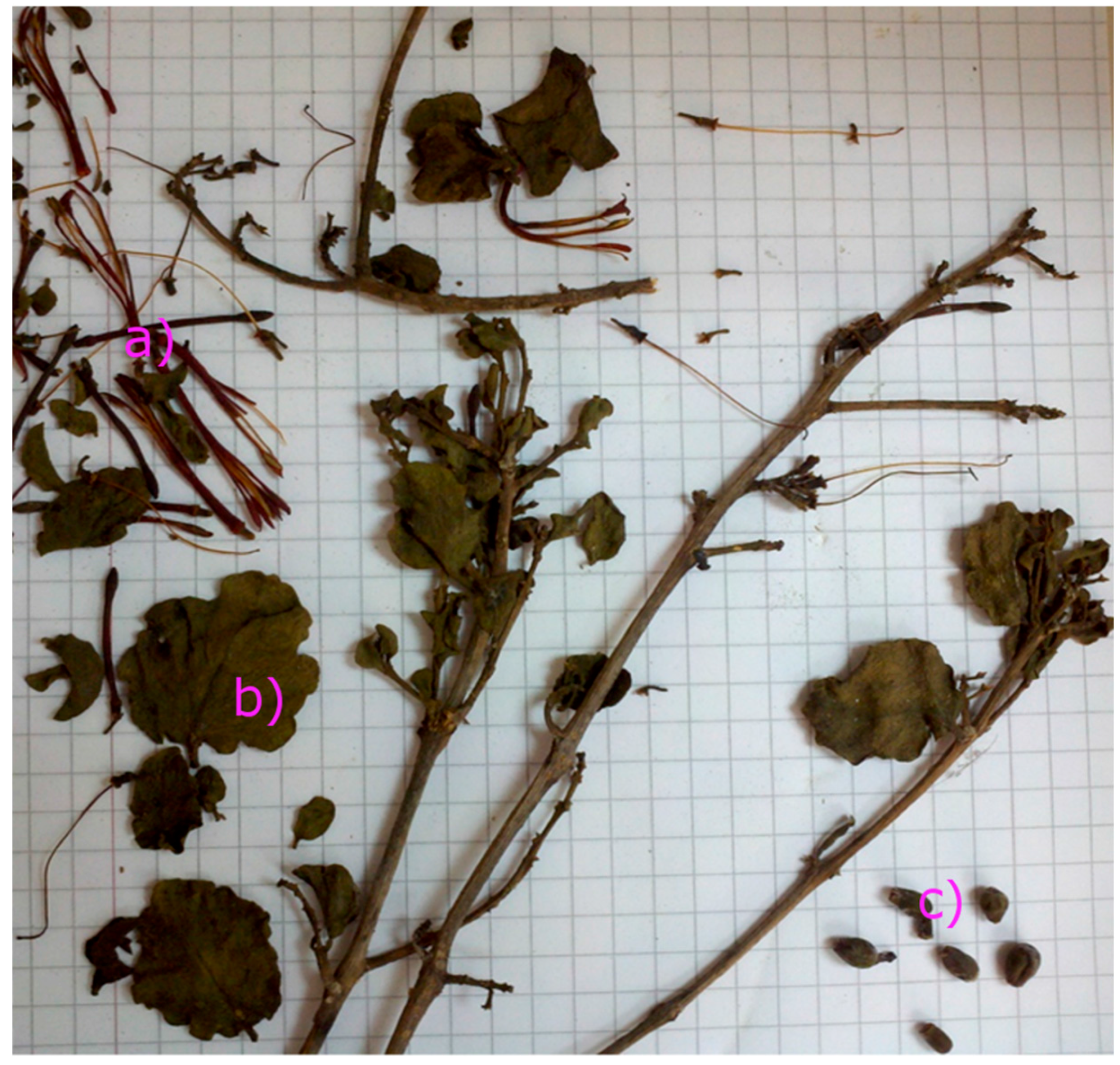 Molecules 21 00245 g001