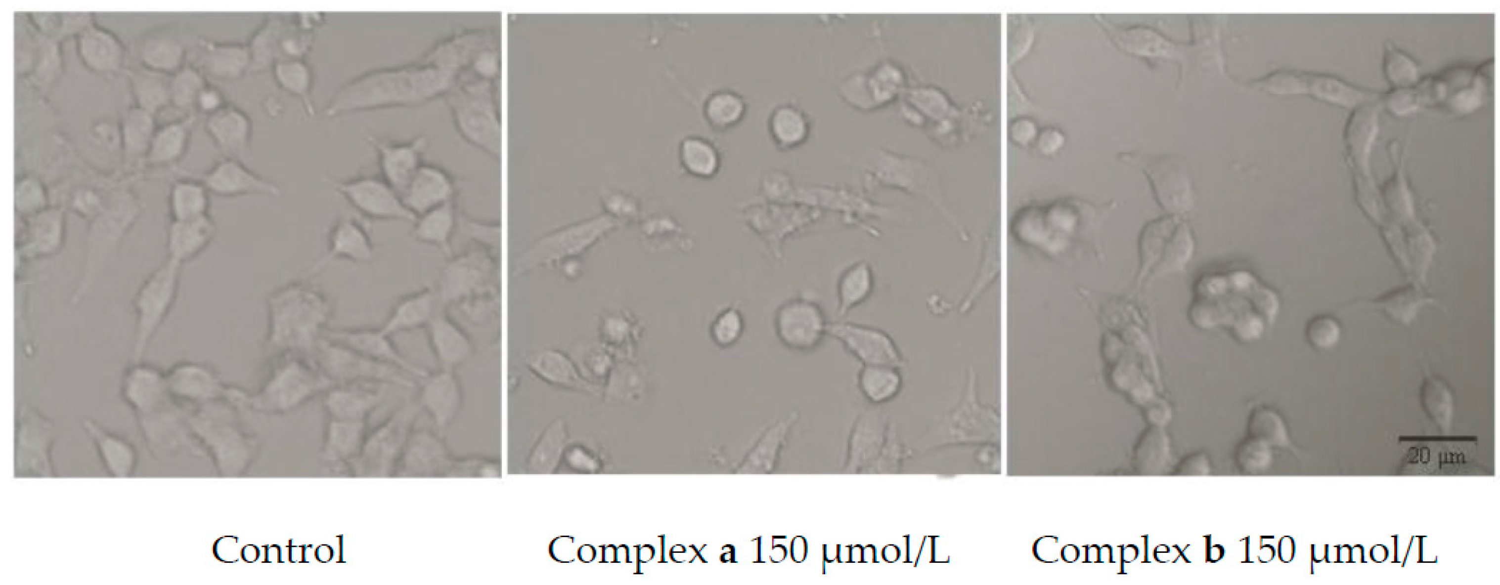 Molecules 21 00255 g004