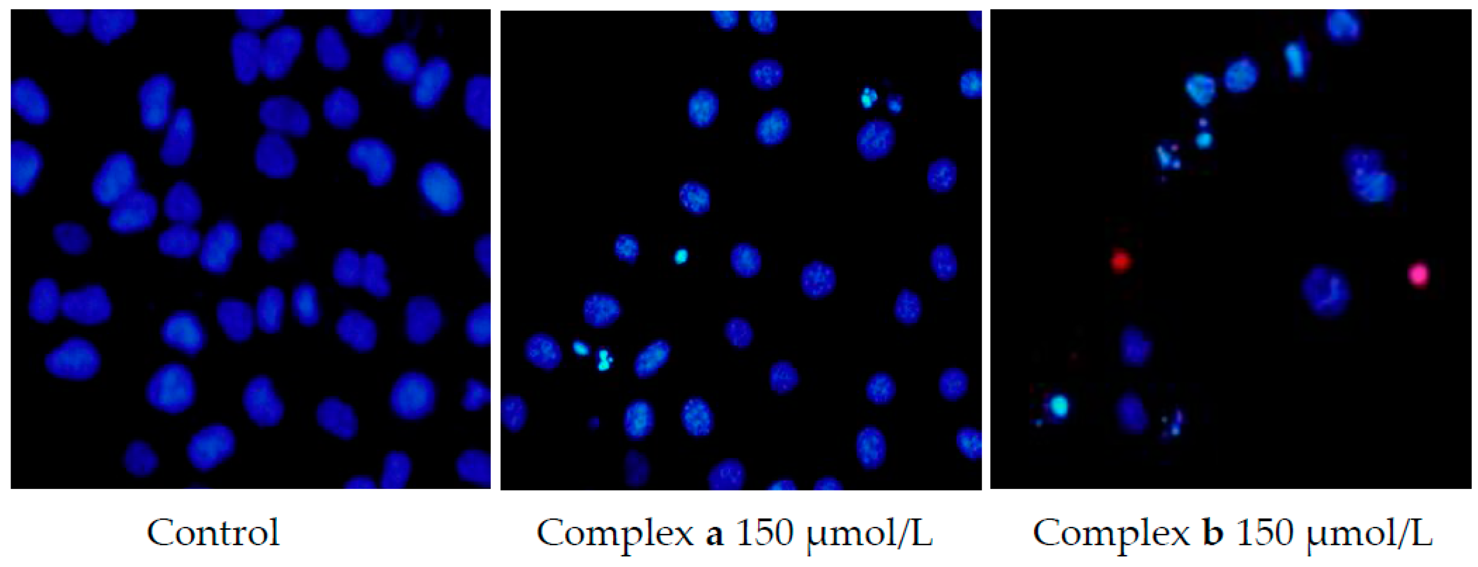 Molecules 21 00255 g005