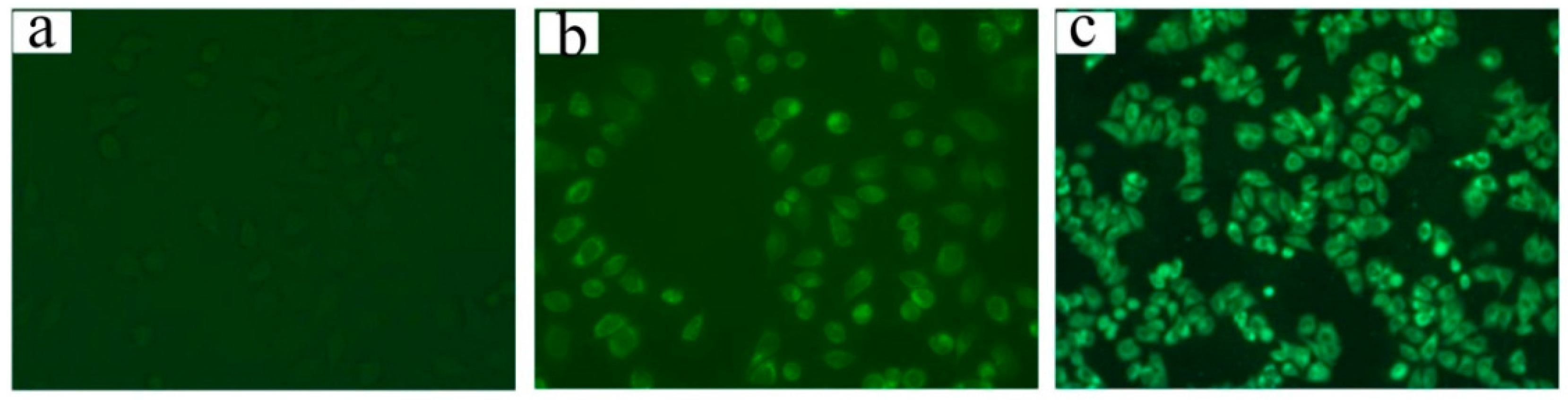 Molecules 21 00265 g006