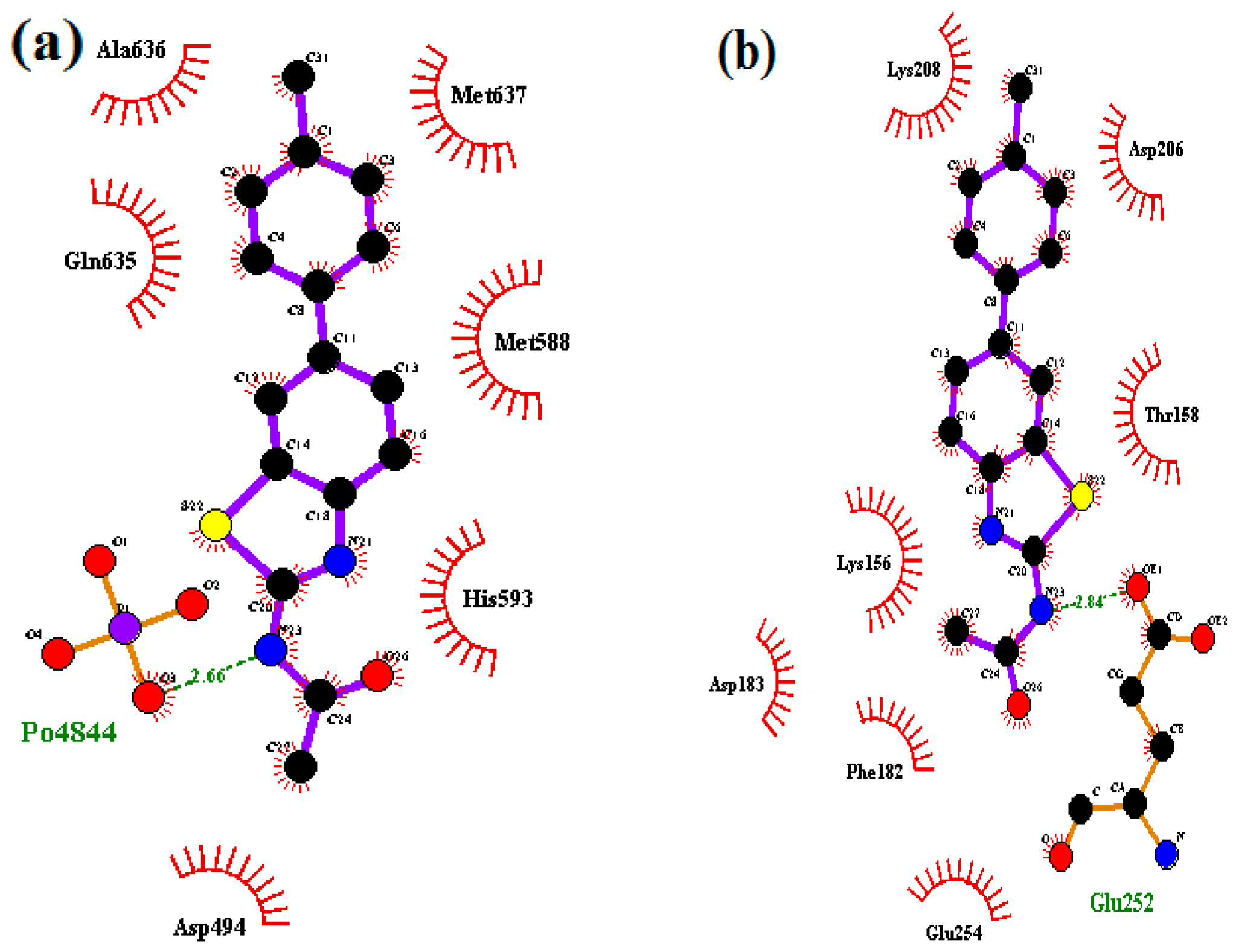 Molecules 21 00266 g005