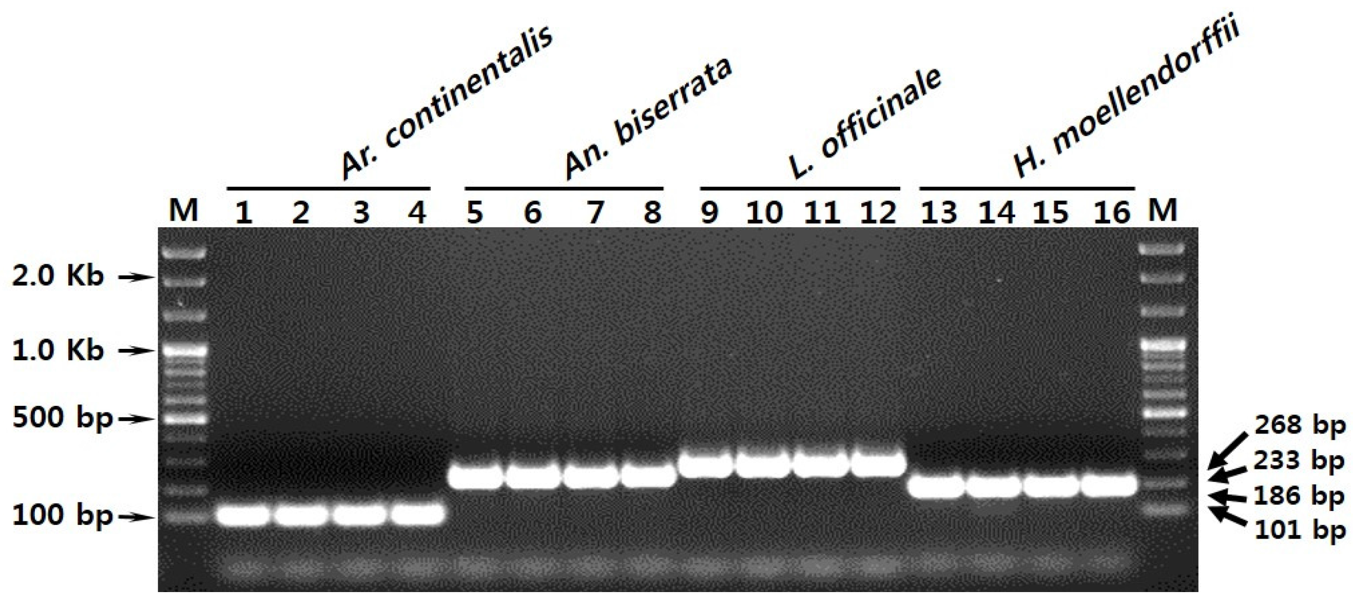 Molecules 21 00270 g003