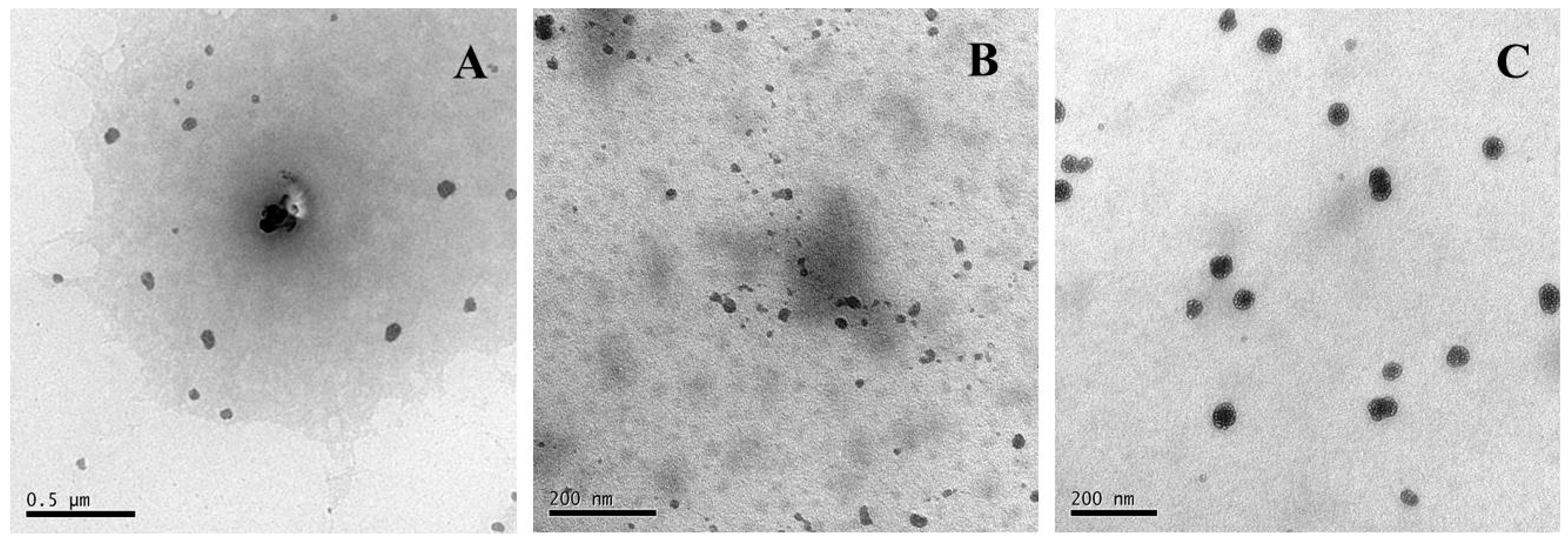 Molecules 21 00282 g006