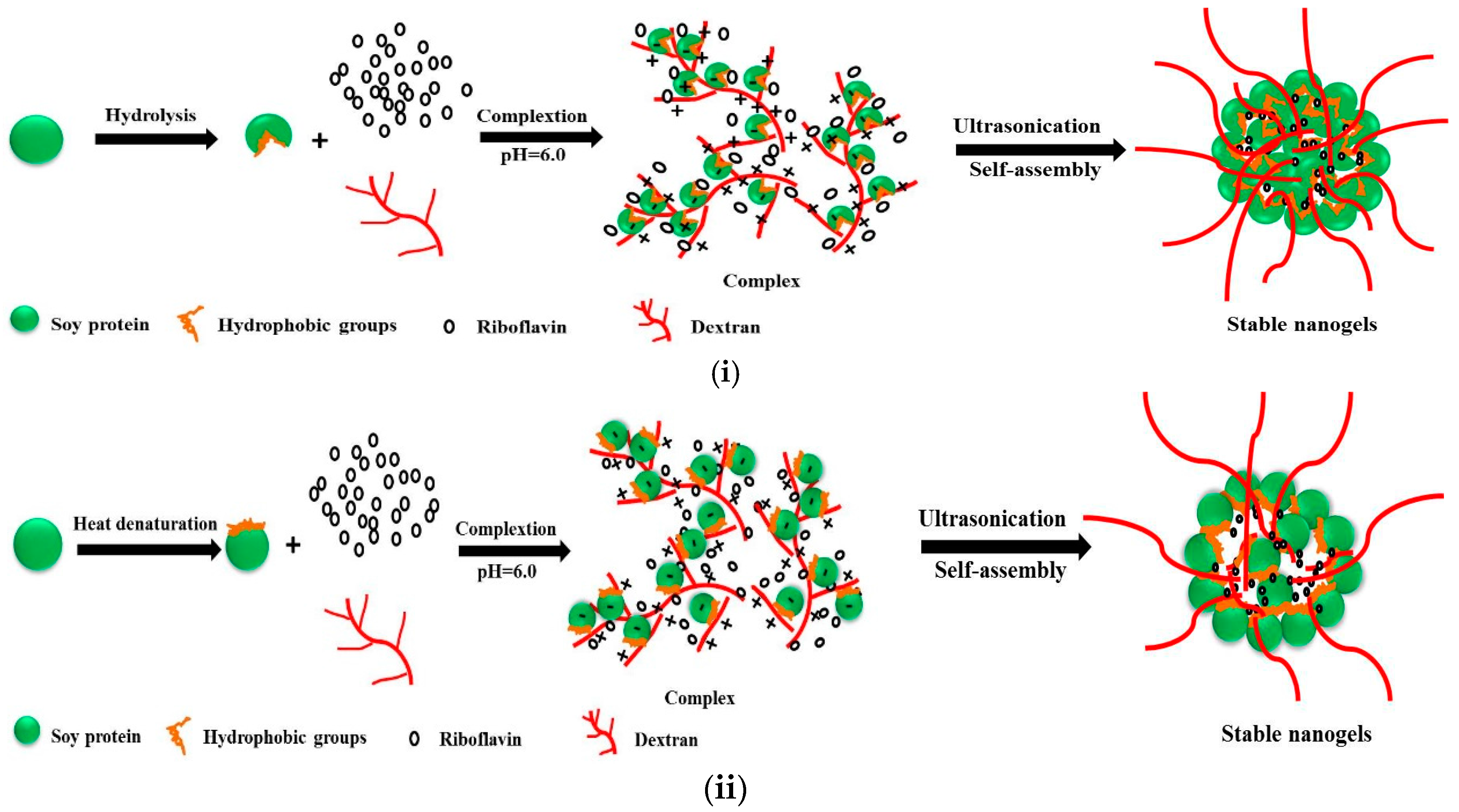 Molecules 21 00282 g011