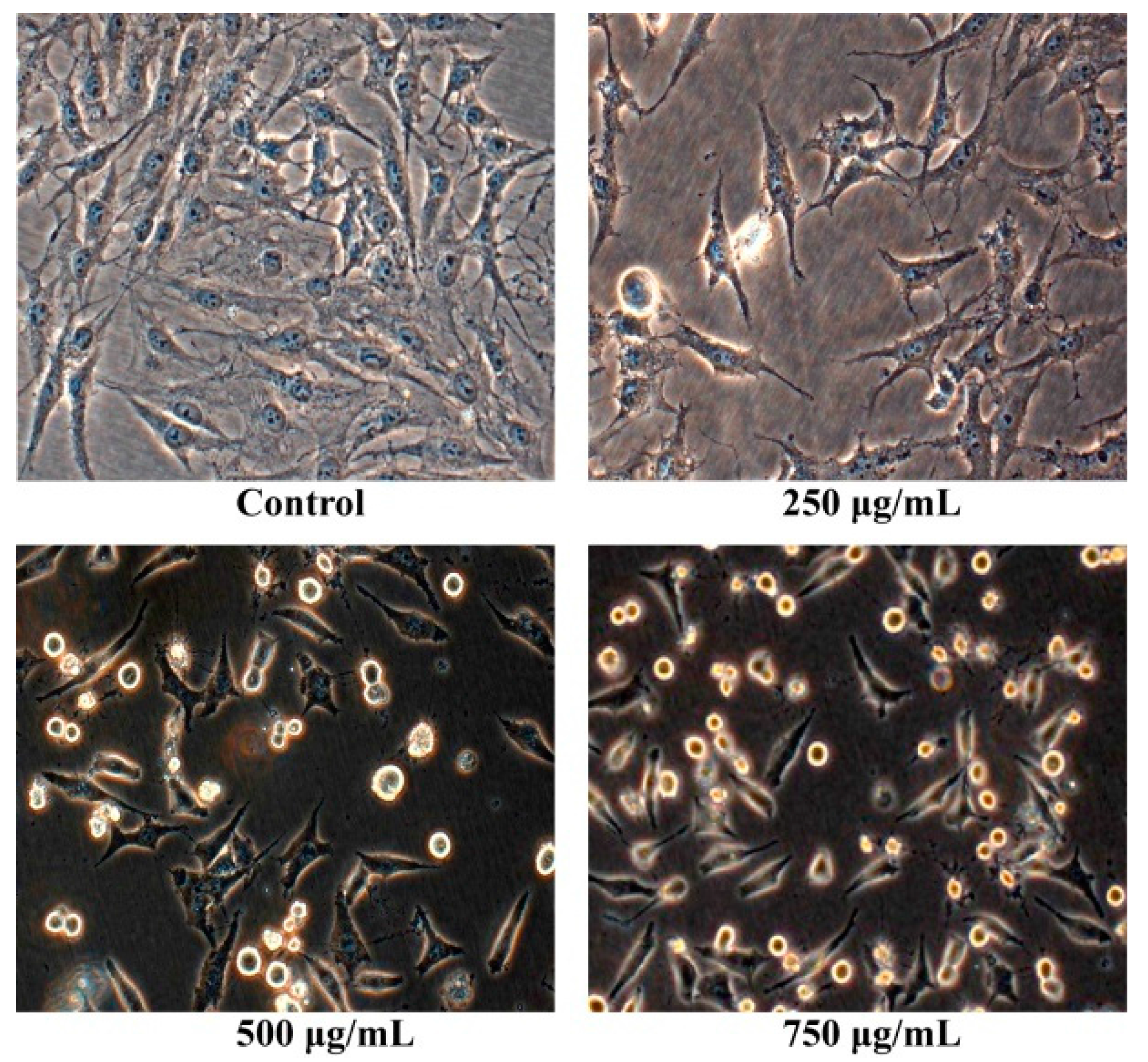 Molecules 21 00283 g002