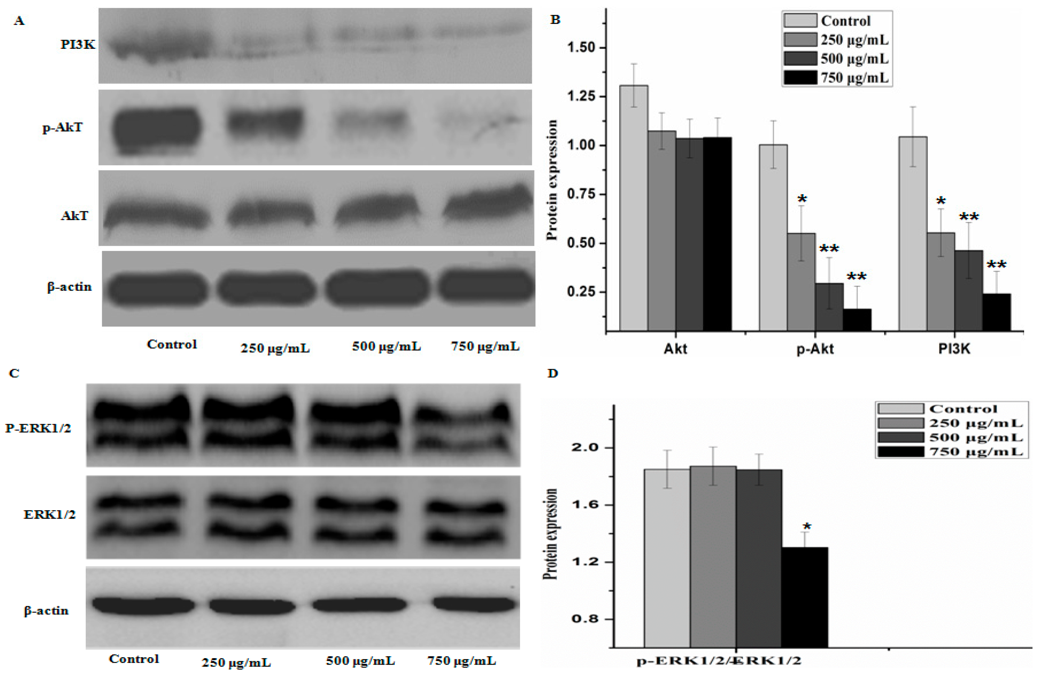 Molecules 21 00283 g008