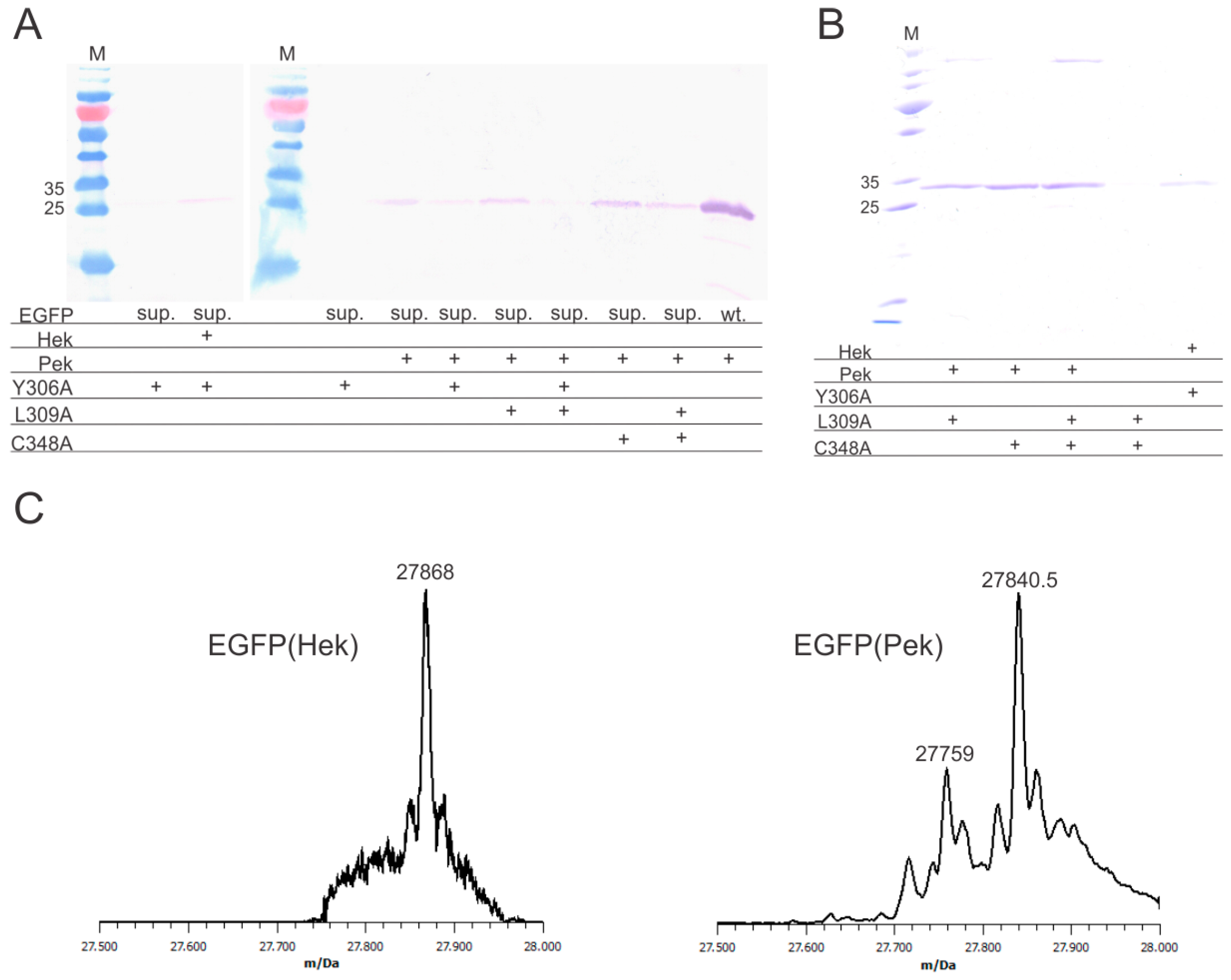 Molecules 21 00287 g002