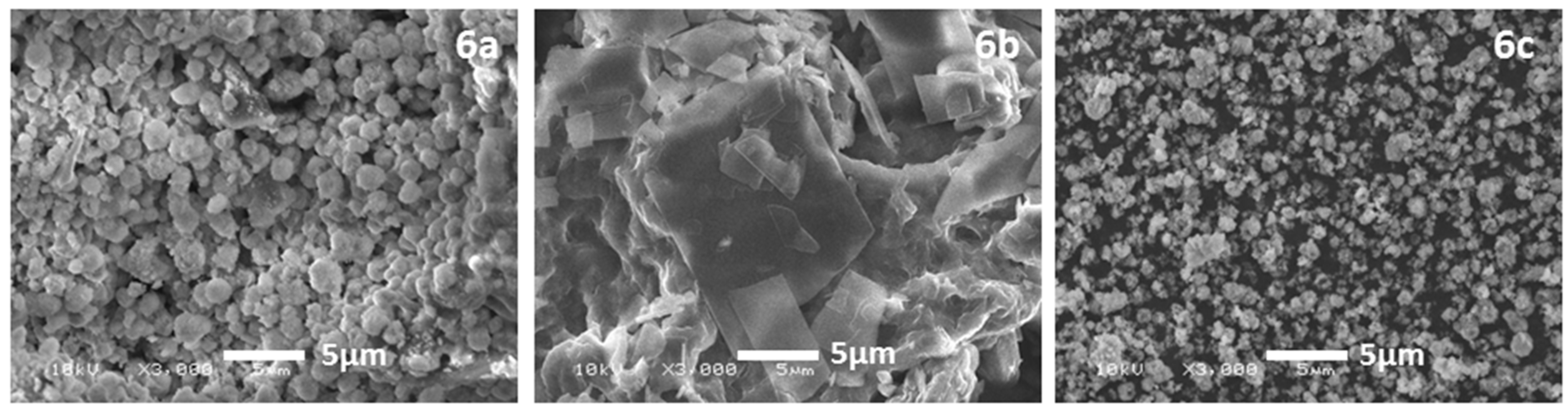 Molecules 21 00292 g001