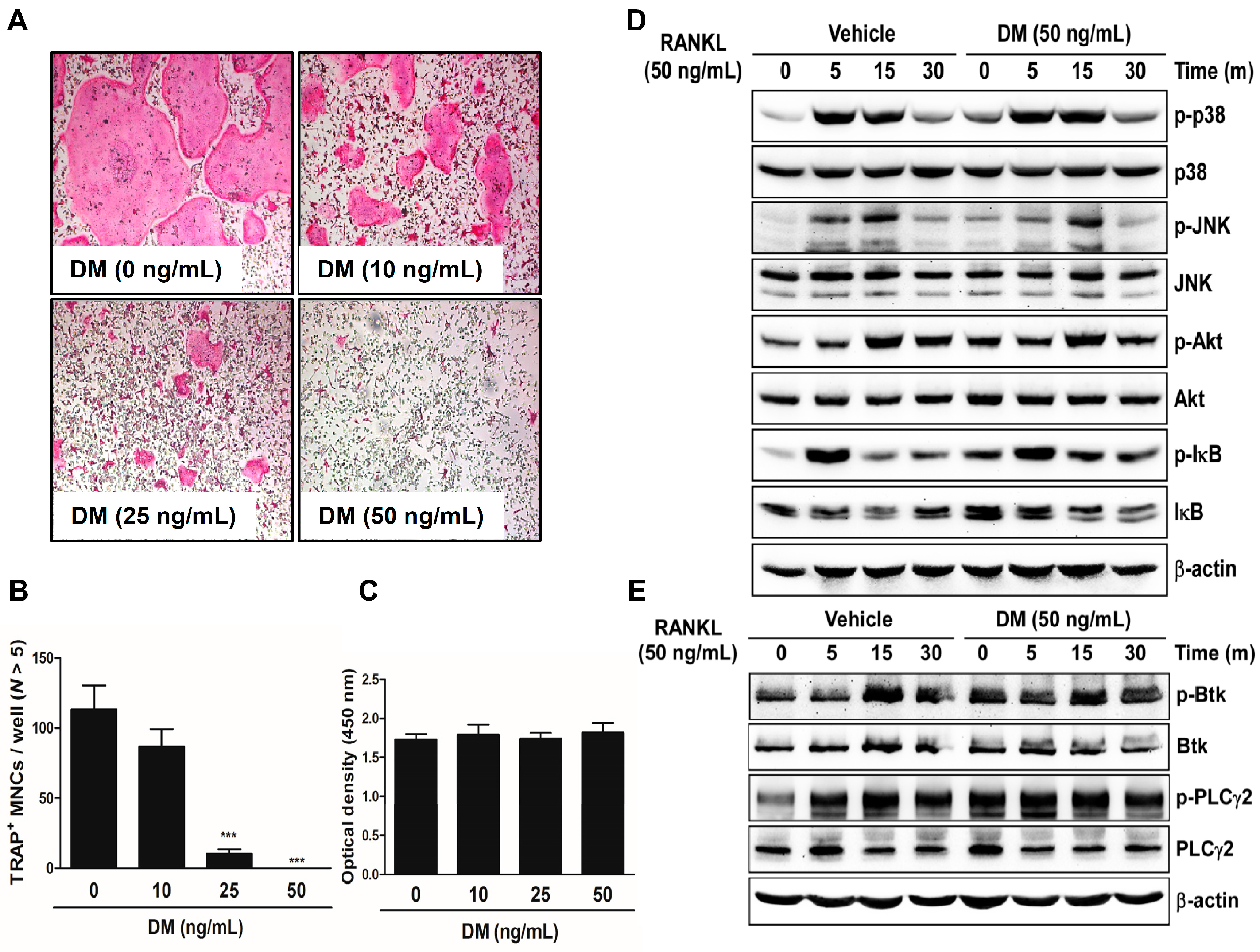 Molecules 21 00295 g001
