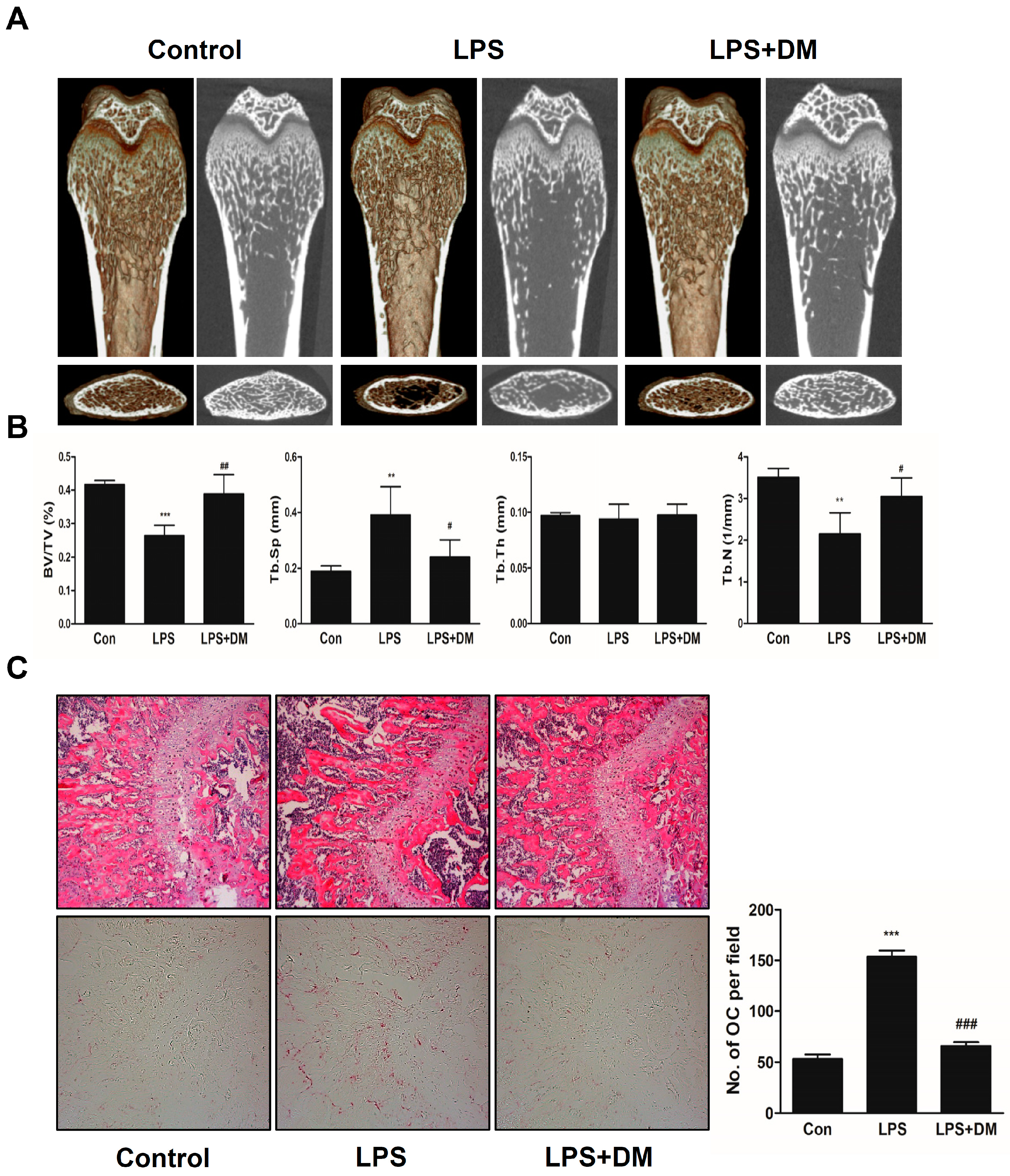 Molecules 21 00295 g004