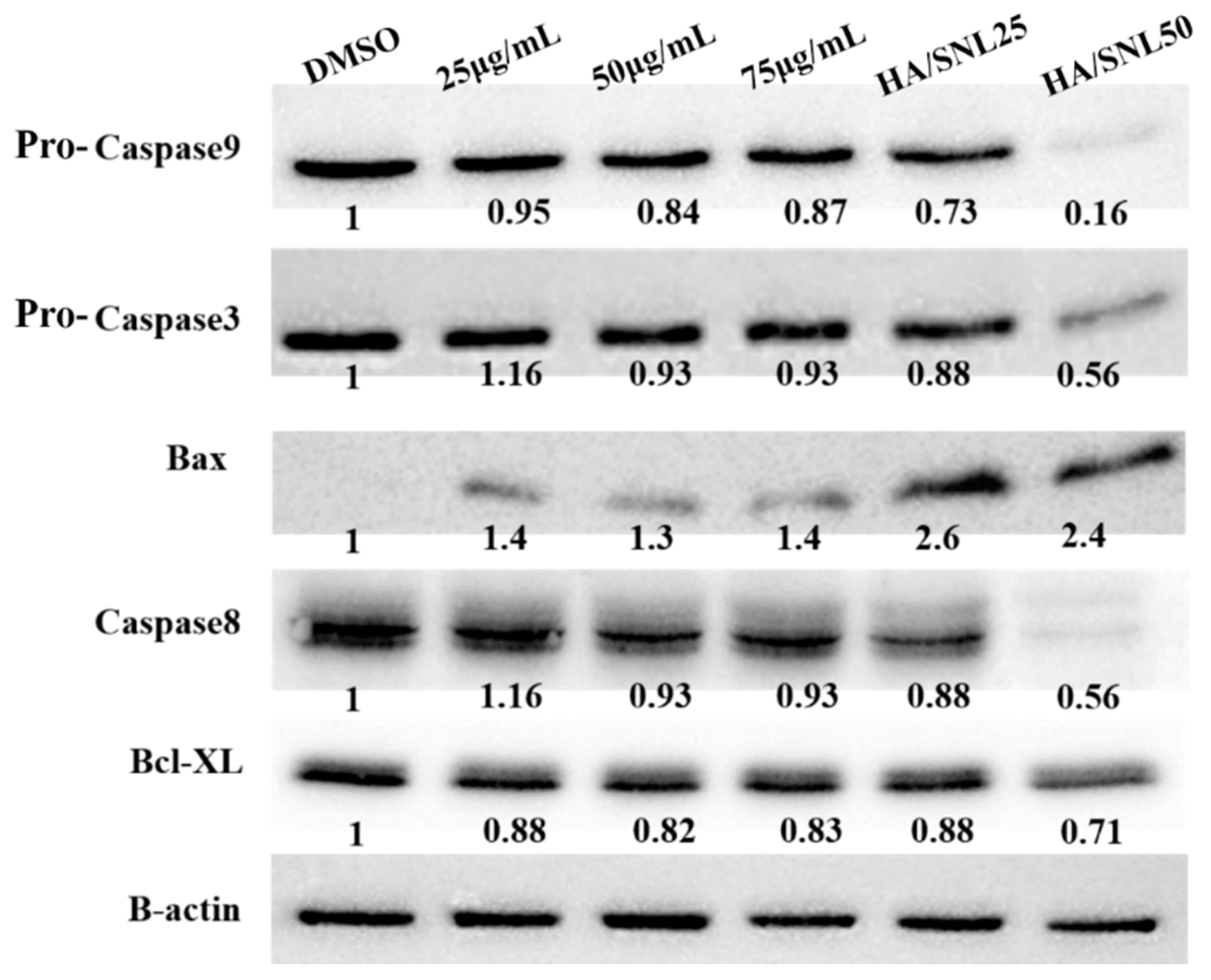 Molecules 21 00297 g011