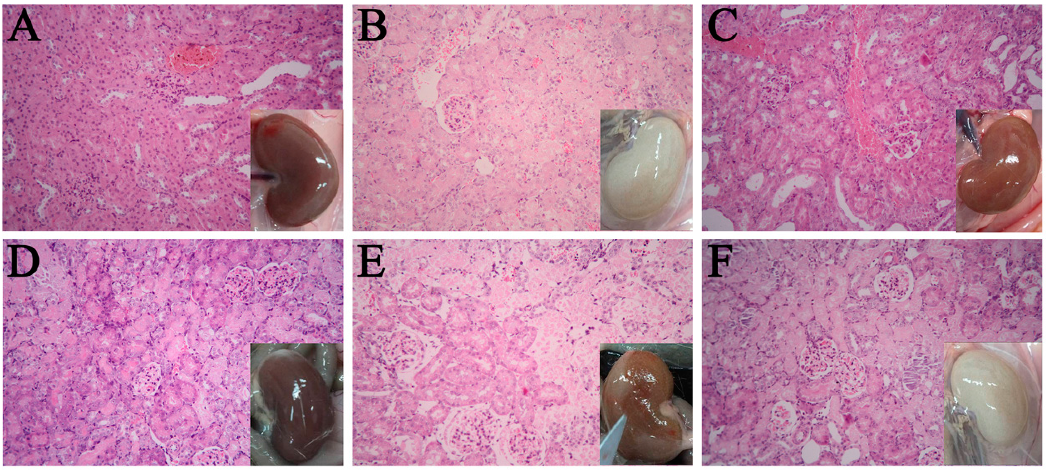 Molecules 21 00298 g002