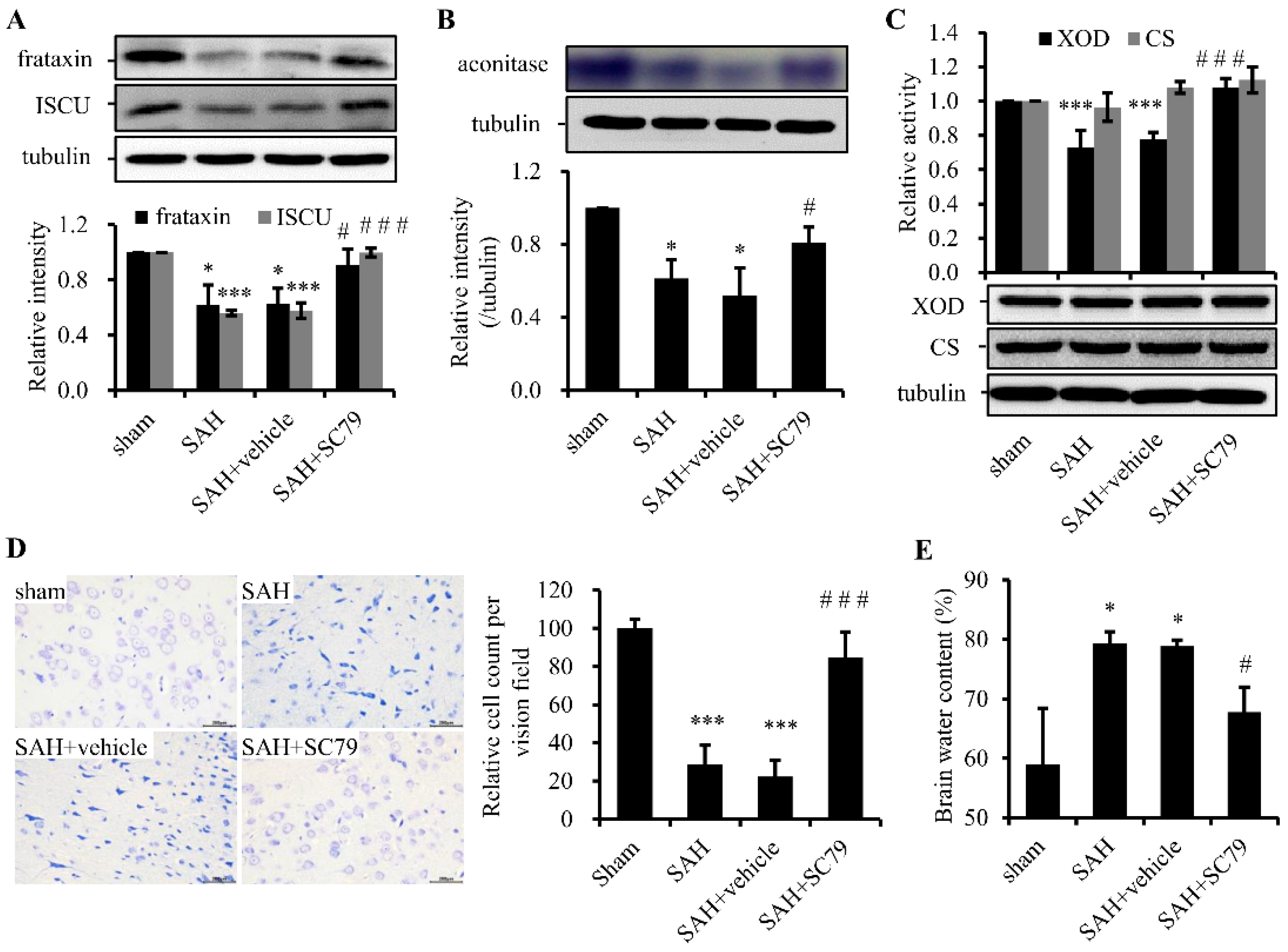 Molecules 21 00325 g003