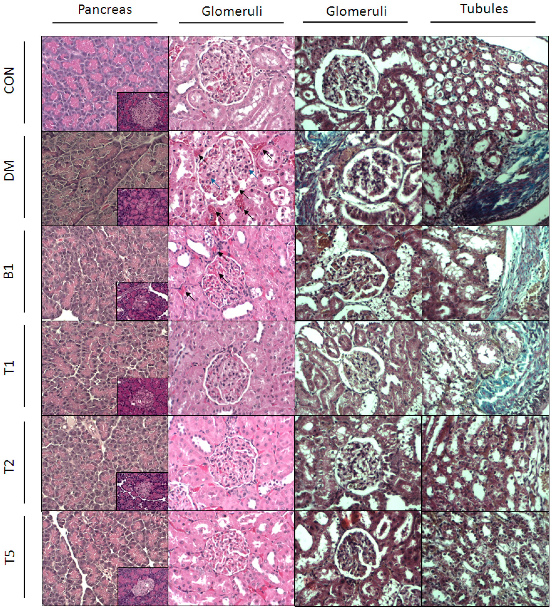 Molecules 21 00334 g005