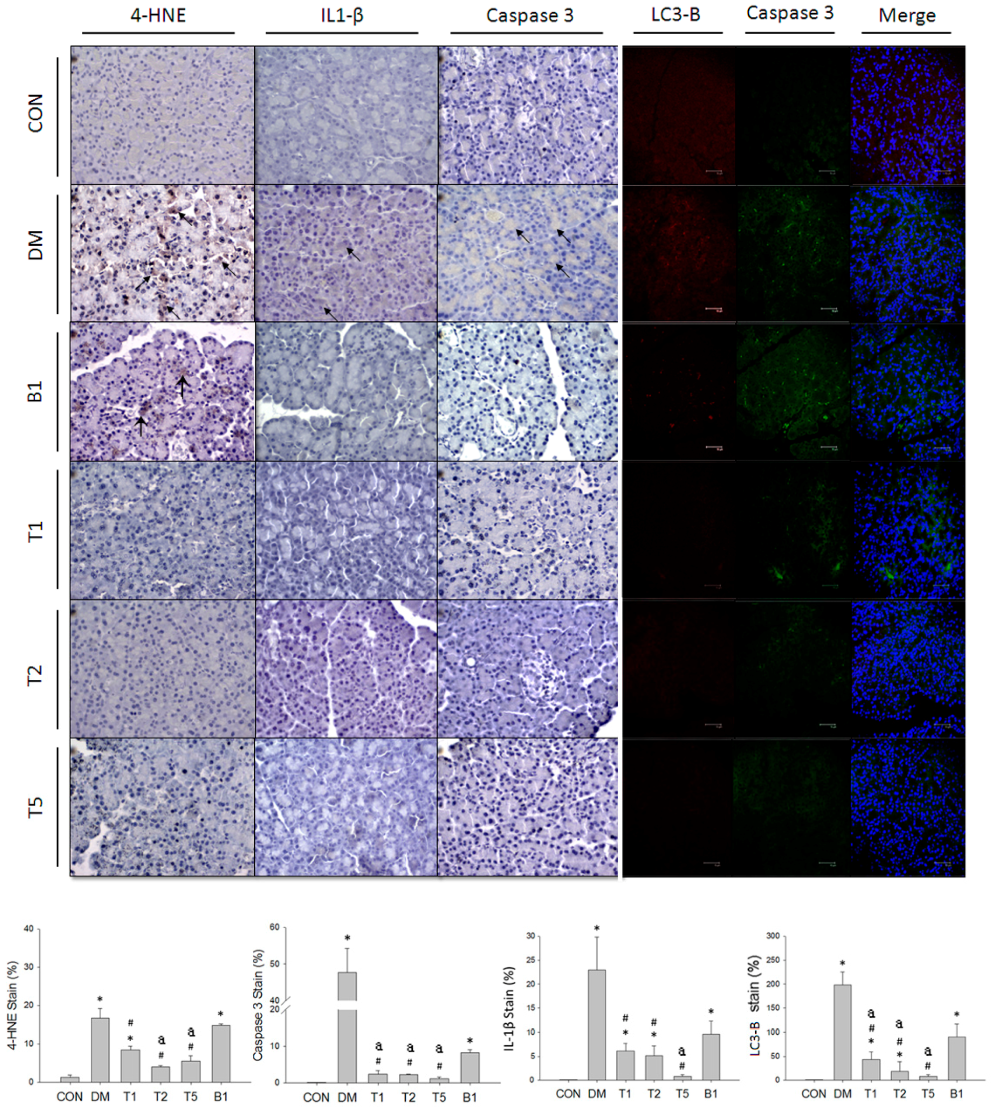 Molecules 21 00334 g007