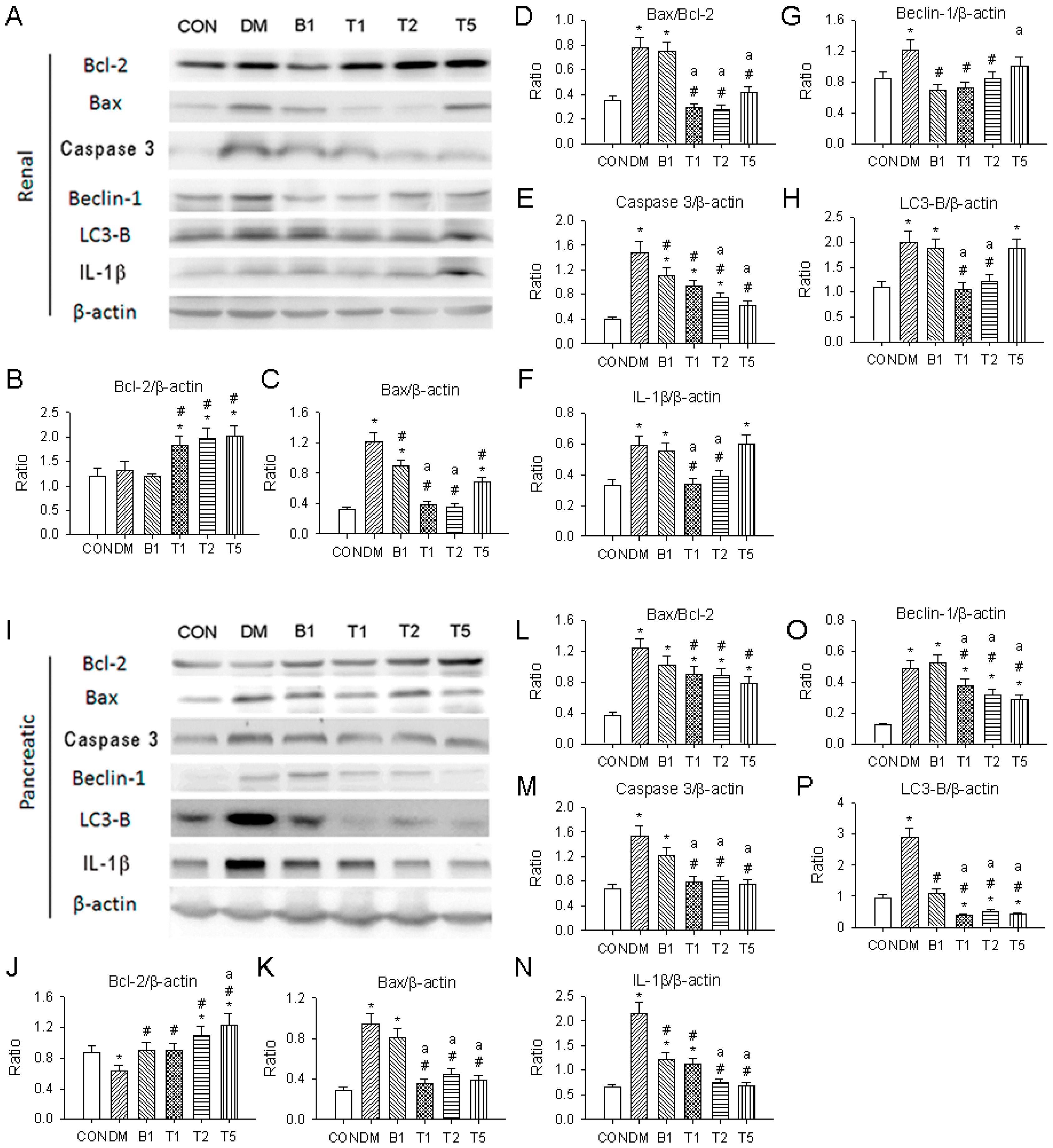 Molecules 21 00334 g008