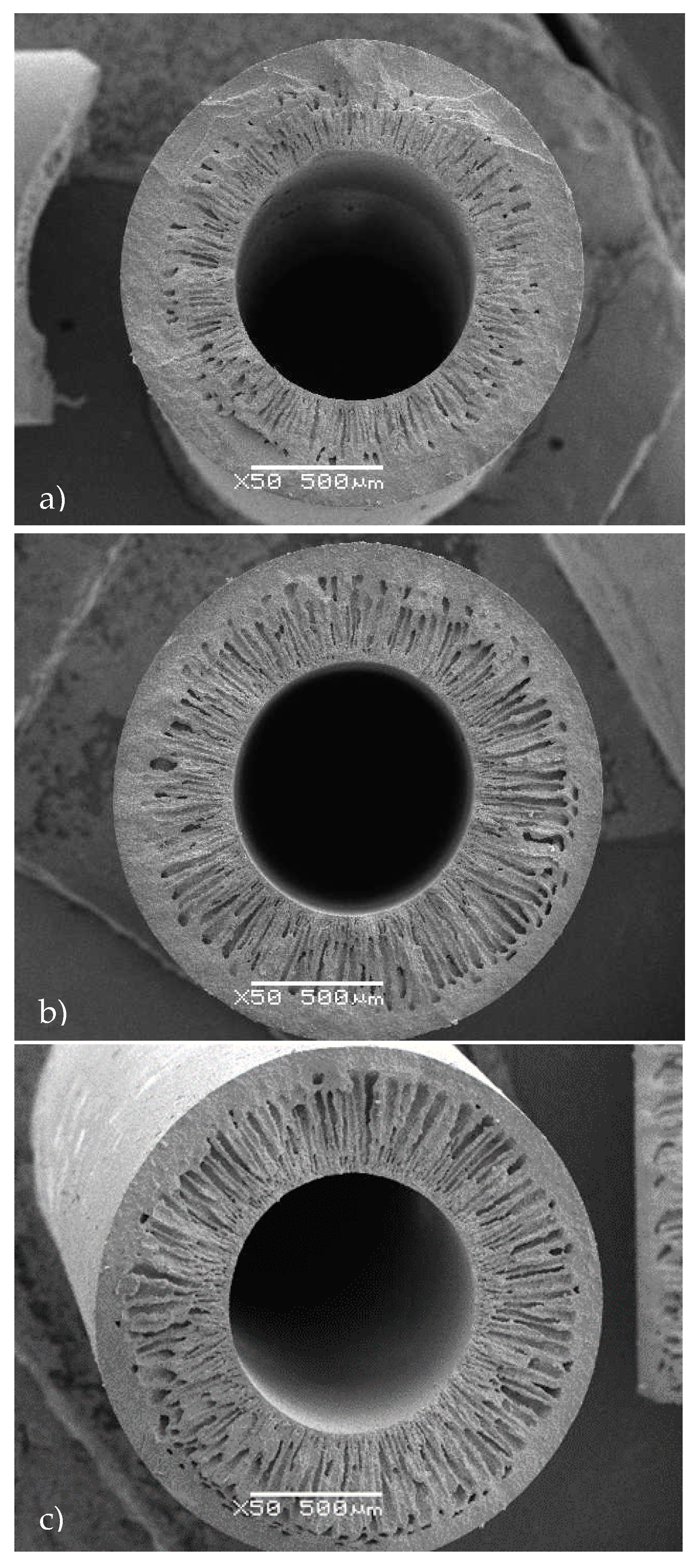 Molecules 21 00345 g001