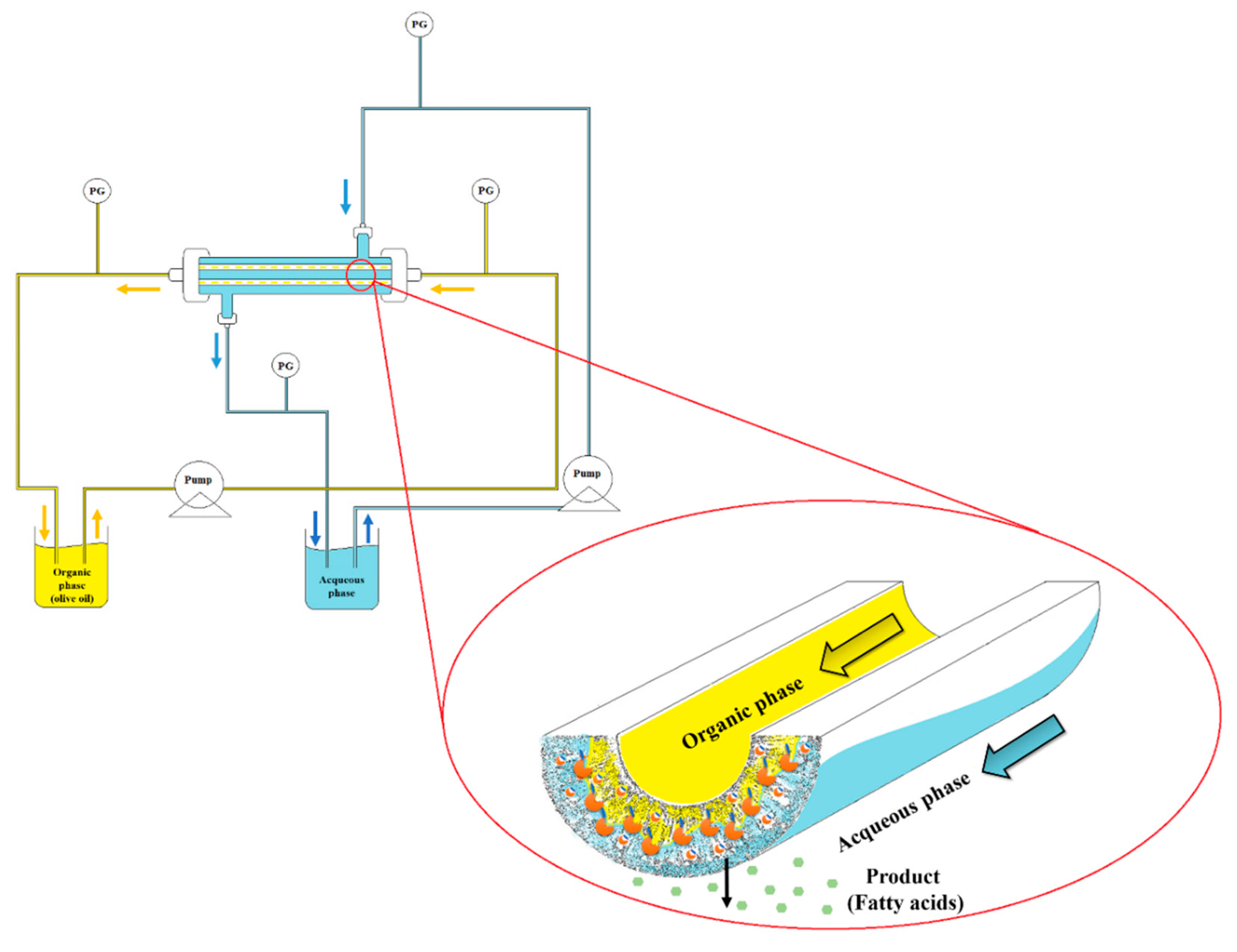 Molecules 21 00345 g005