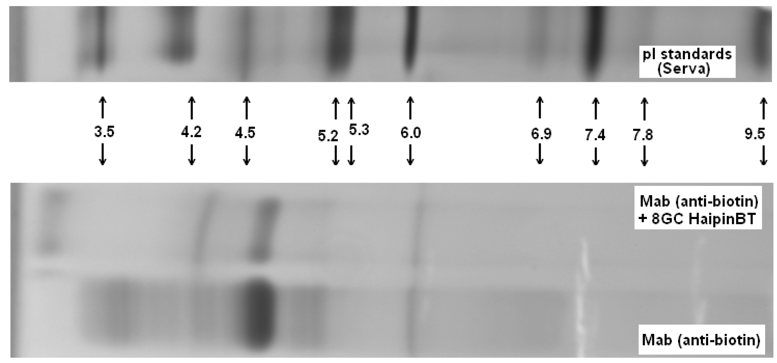 Molecules 21 00346 g010