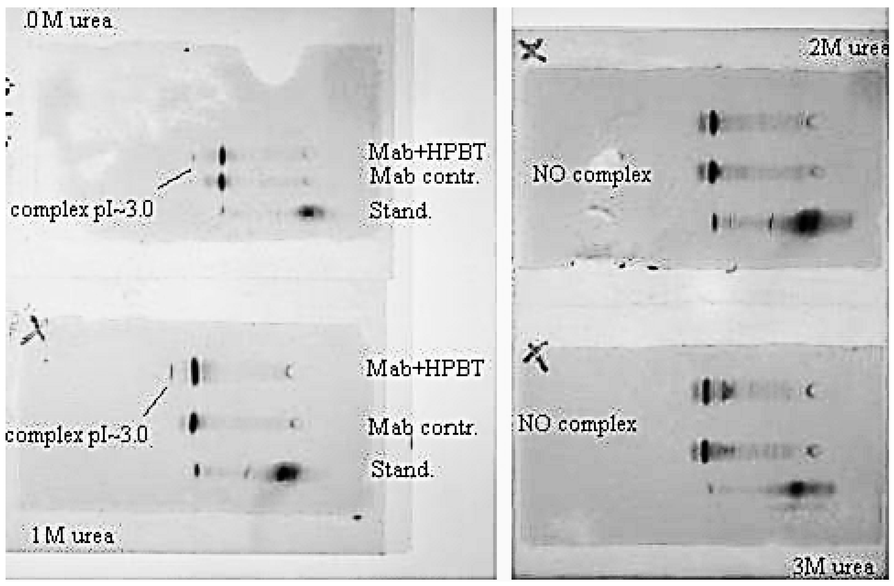 Molecules 21 00346 g011