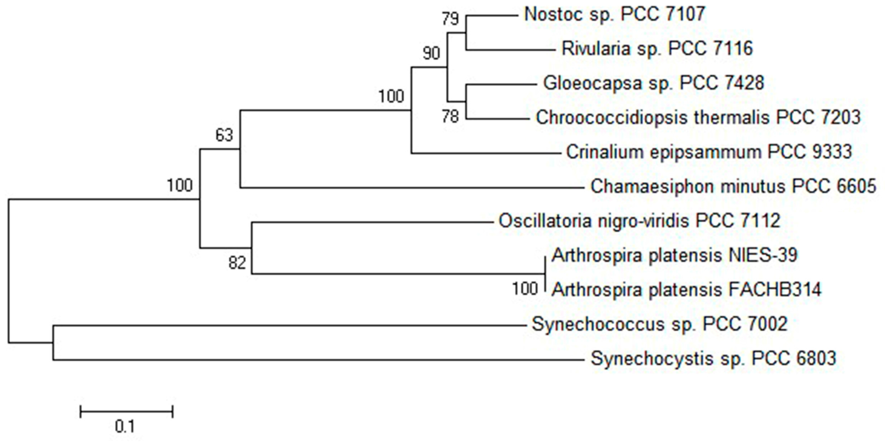 Molecules 21 00357 g001
