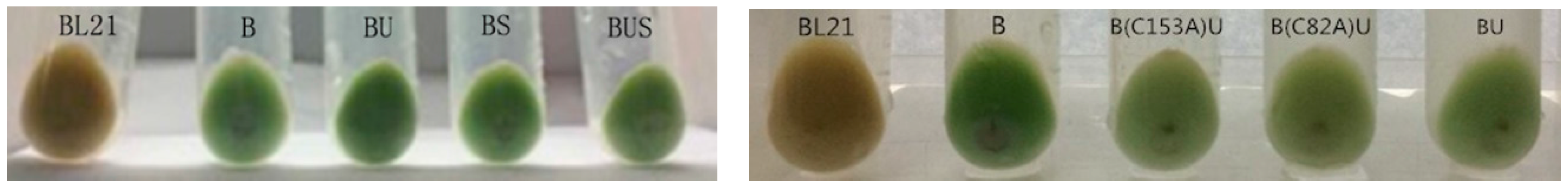 Molecules 21 00357 g002