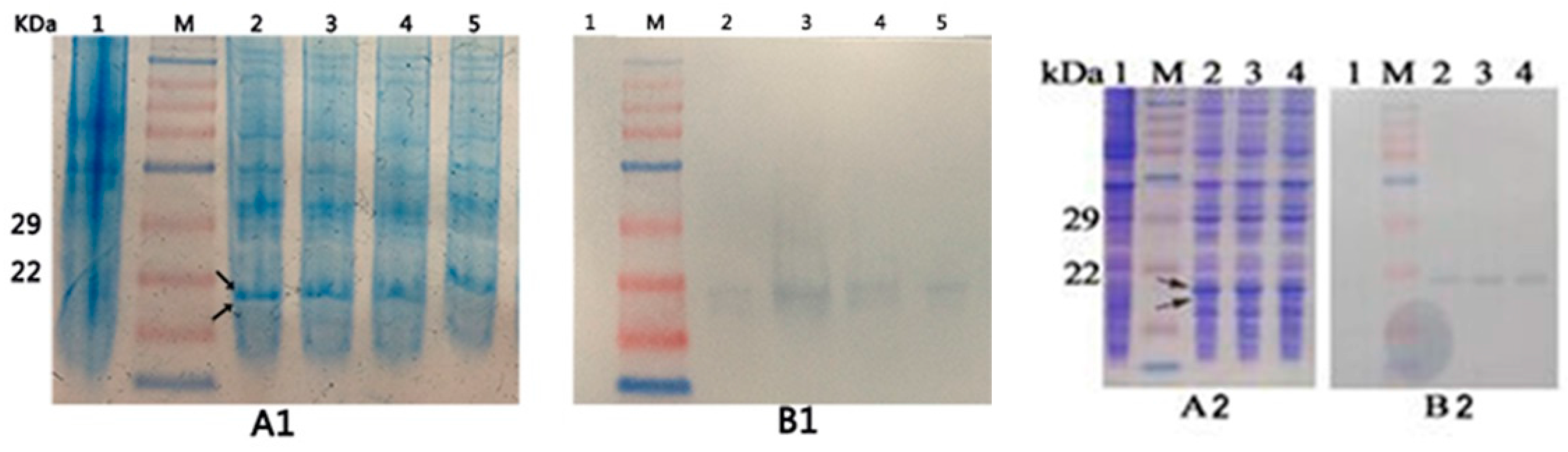 Molecules 21 00357 g003