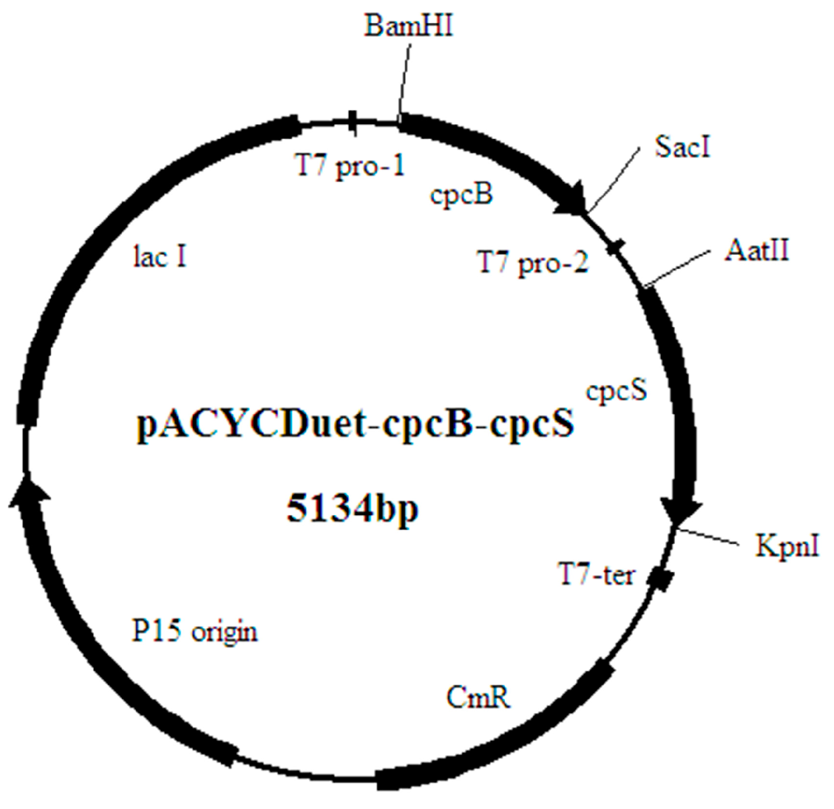 Molecules 21 00357 g006b
