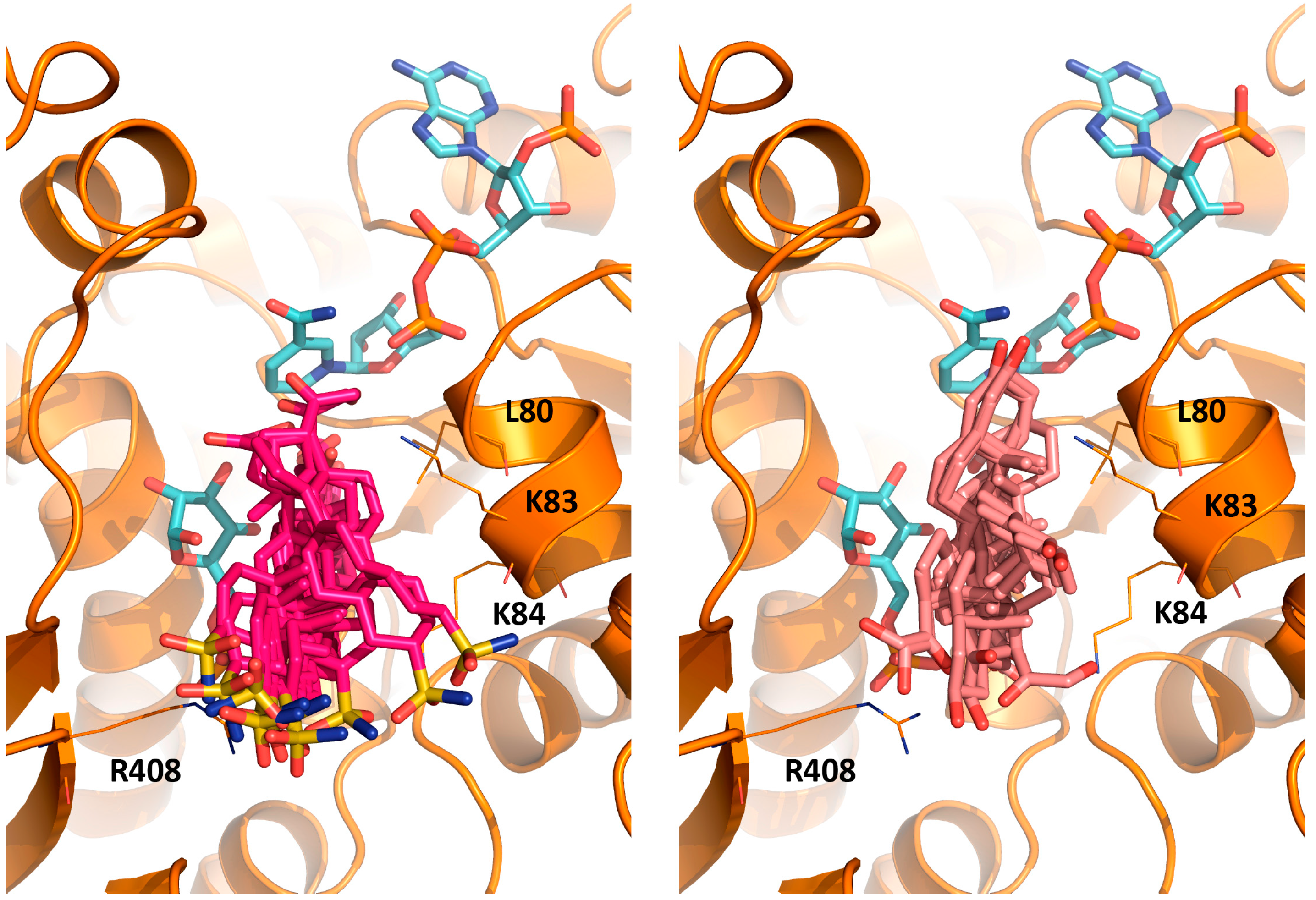 Molecules 21 00368 g005