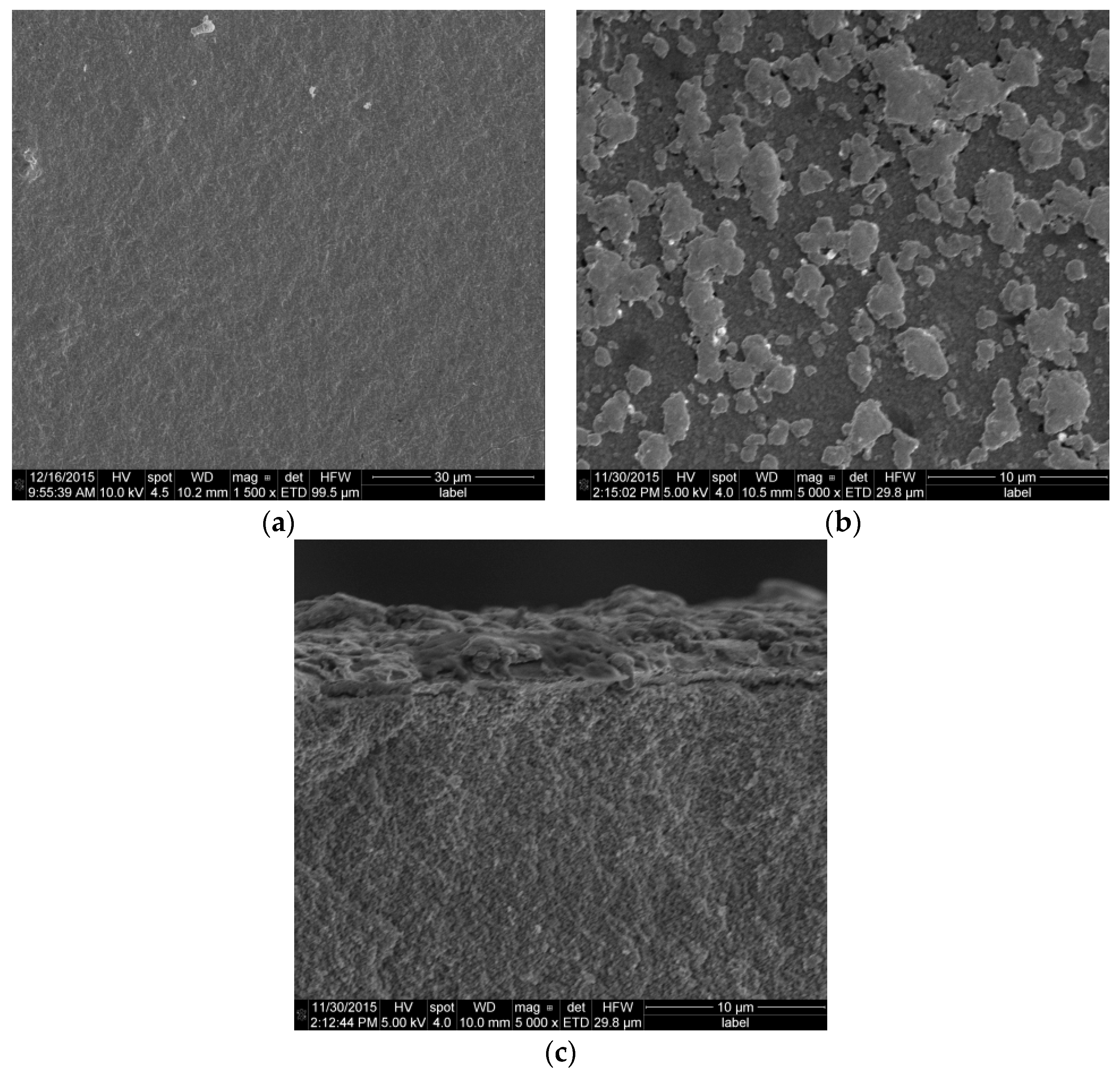 Molecules 21 00376 g010
