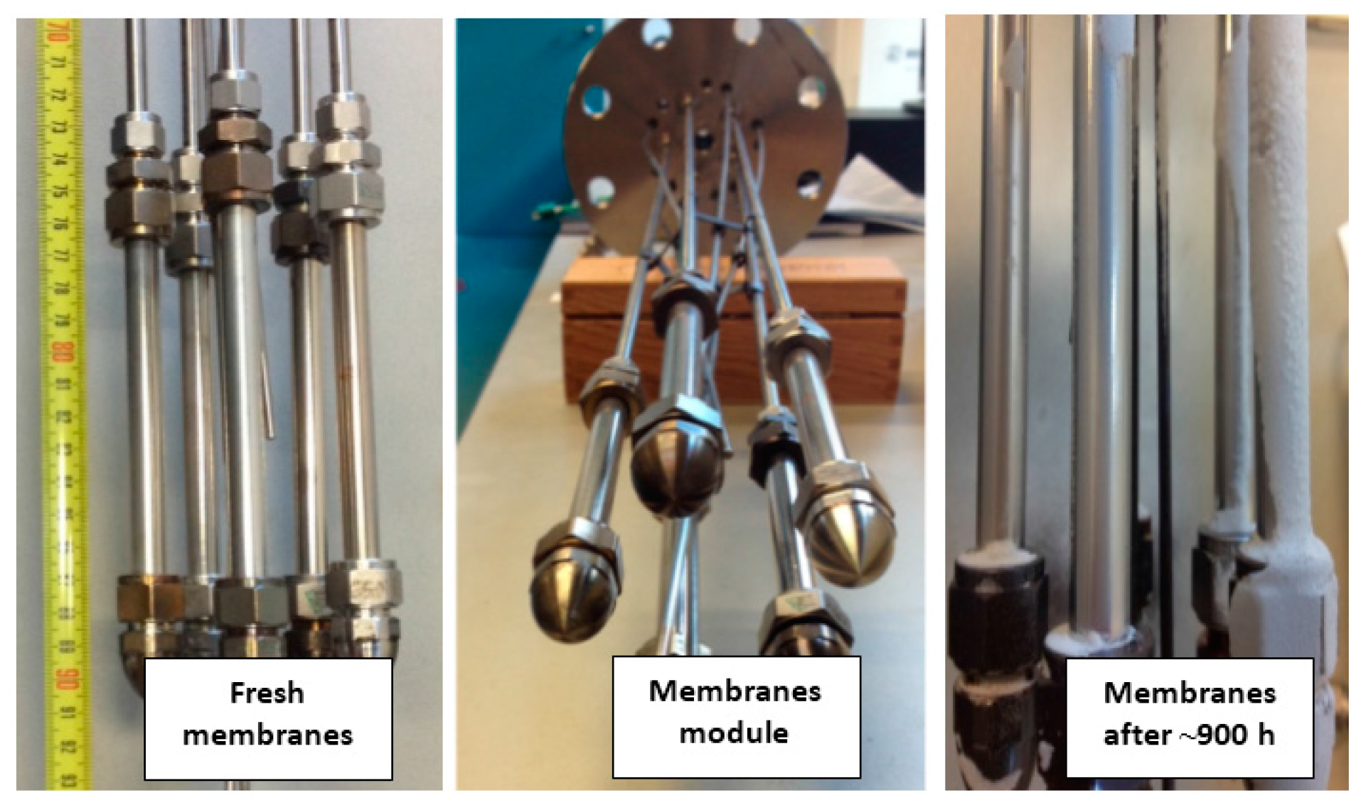 Molecules 21 00376 g011