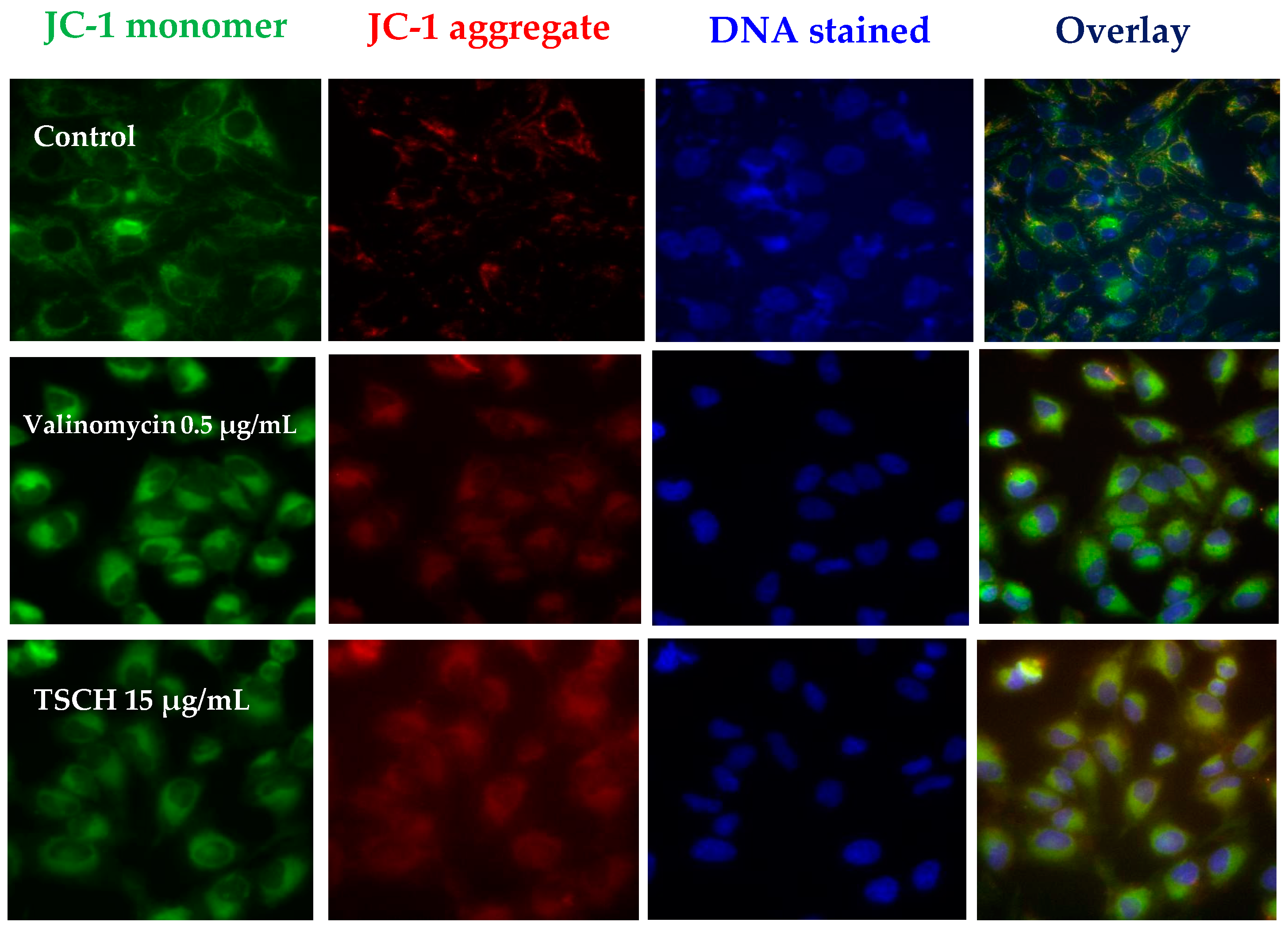 Molecules 21 00380 g001