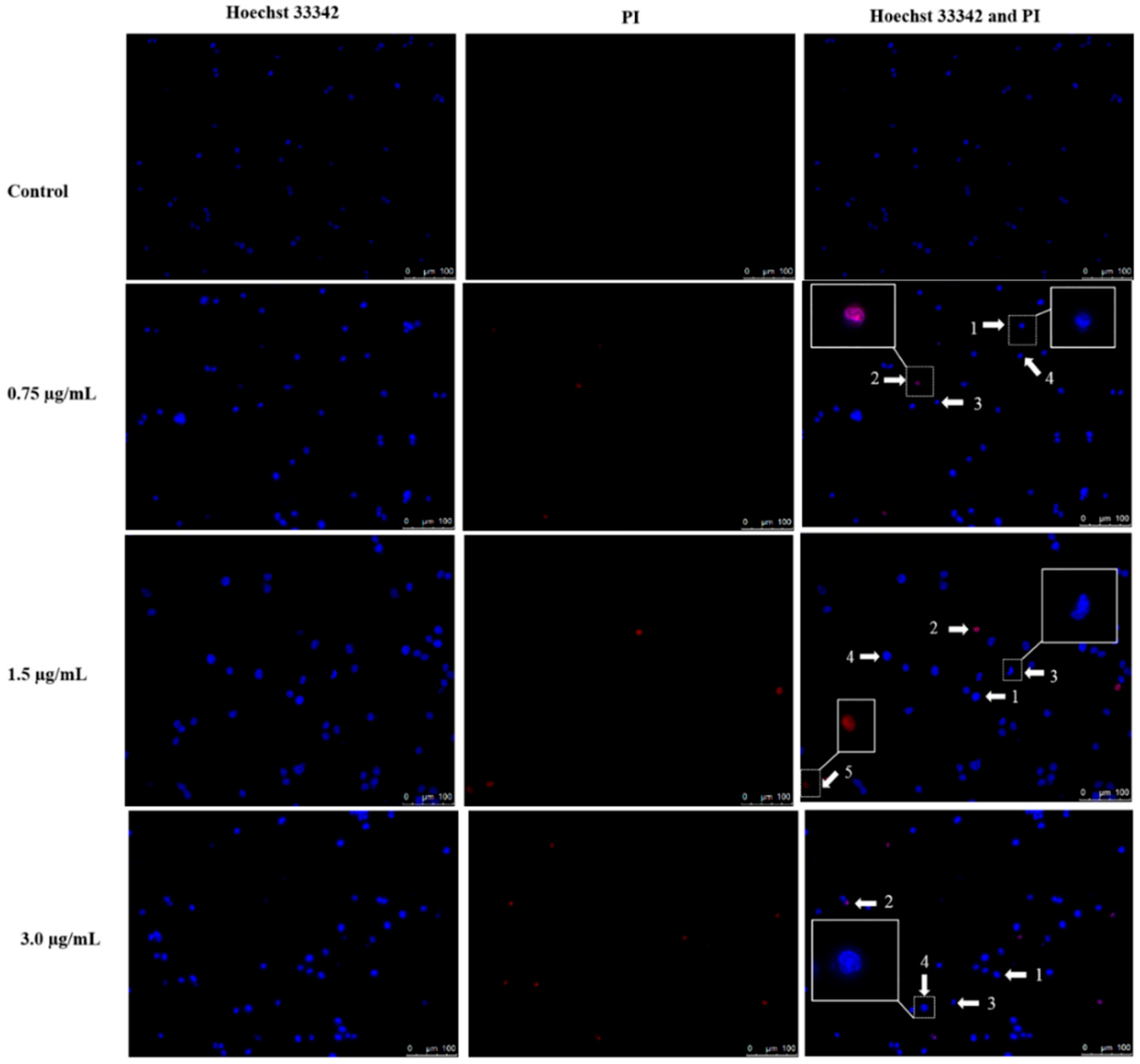 Molecules 21 00385 g003