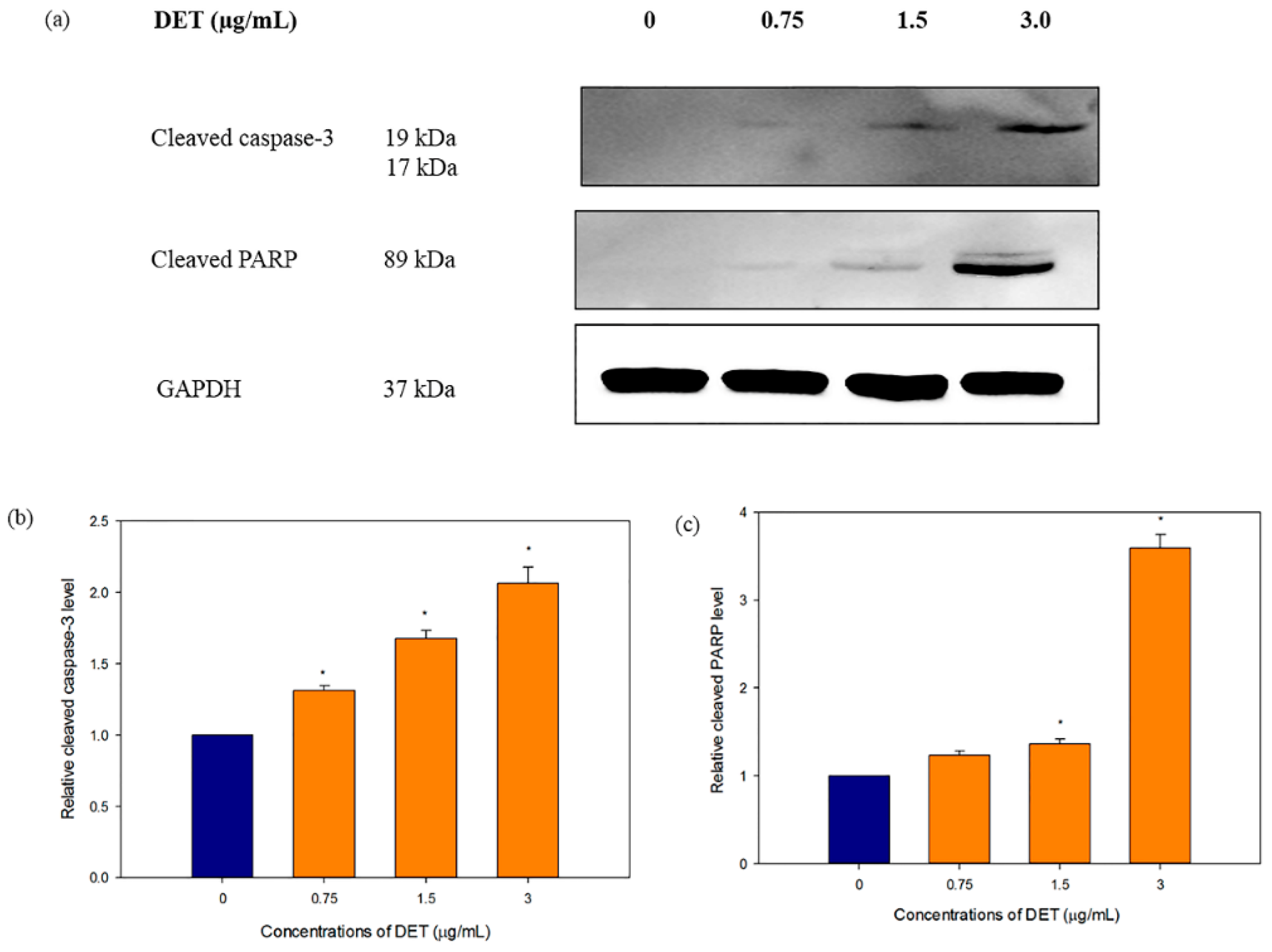 Molecules 21 00385 g005