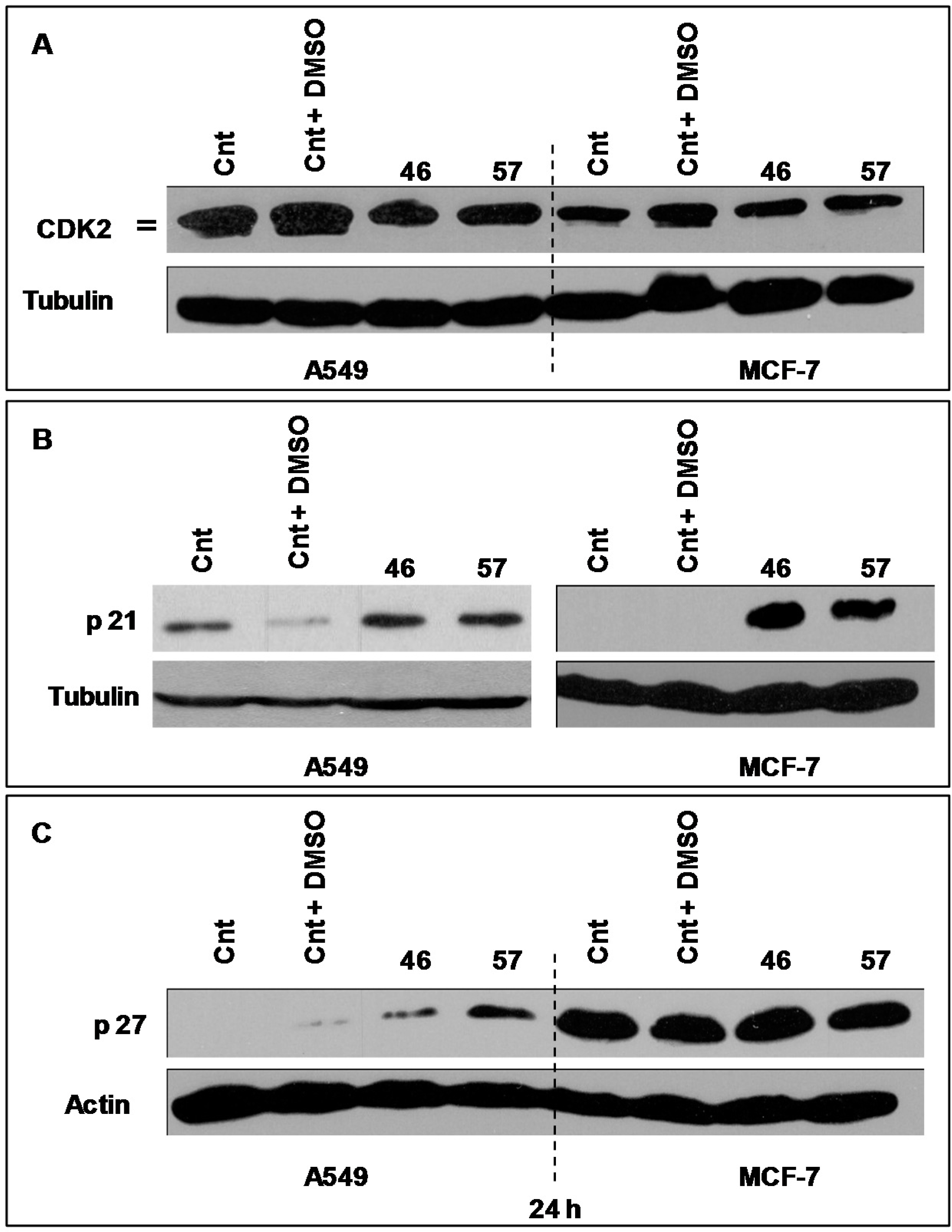 Molecules 21 00395 g009
