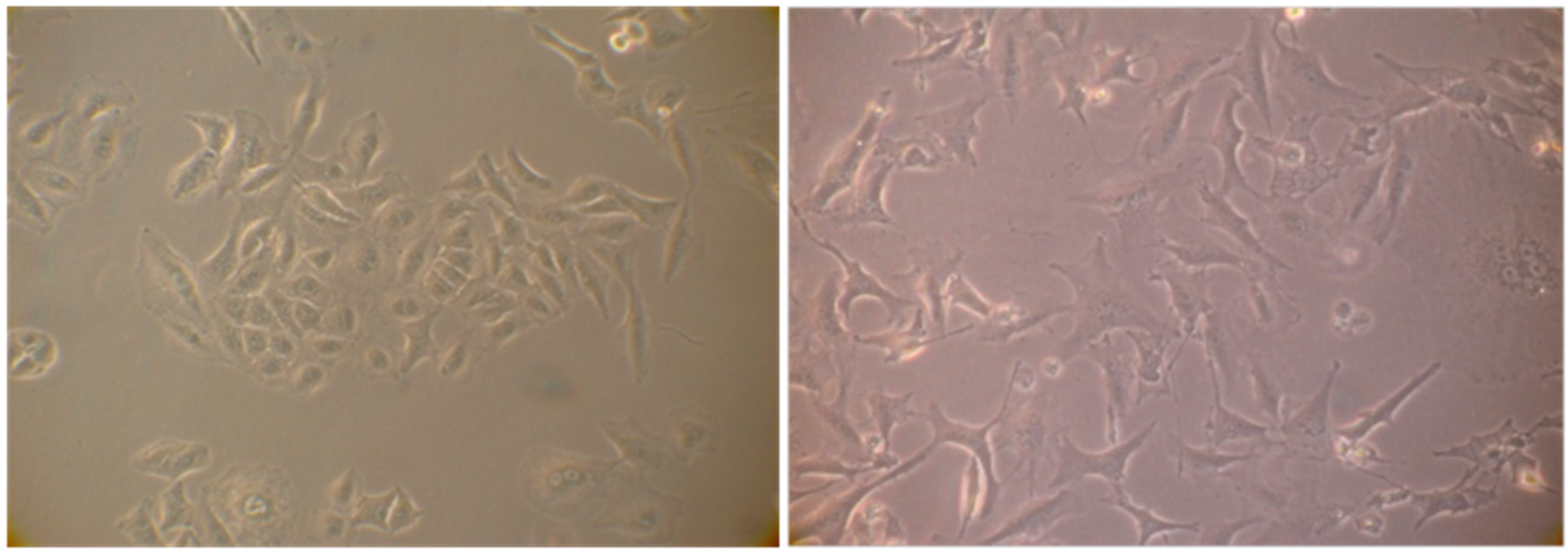 Molecules 21 00395 g011