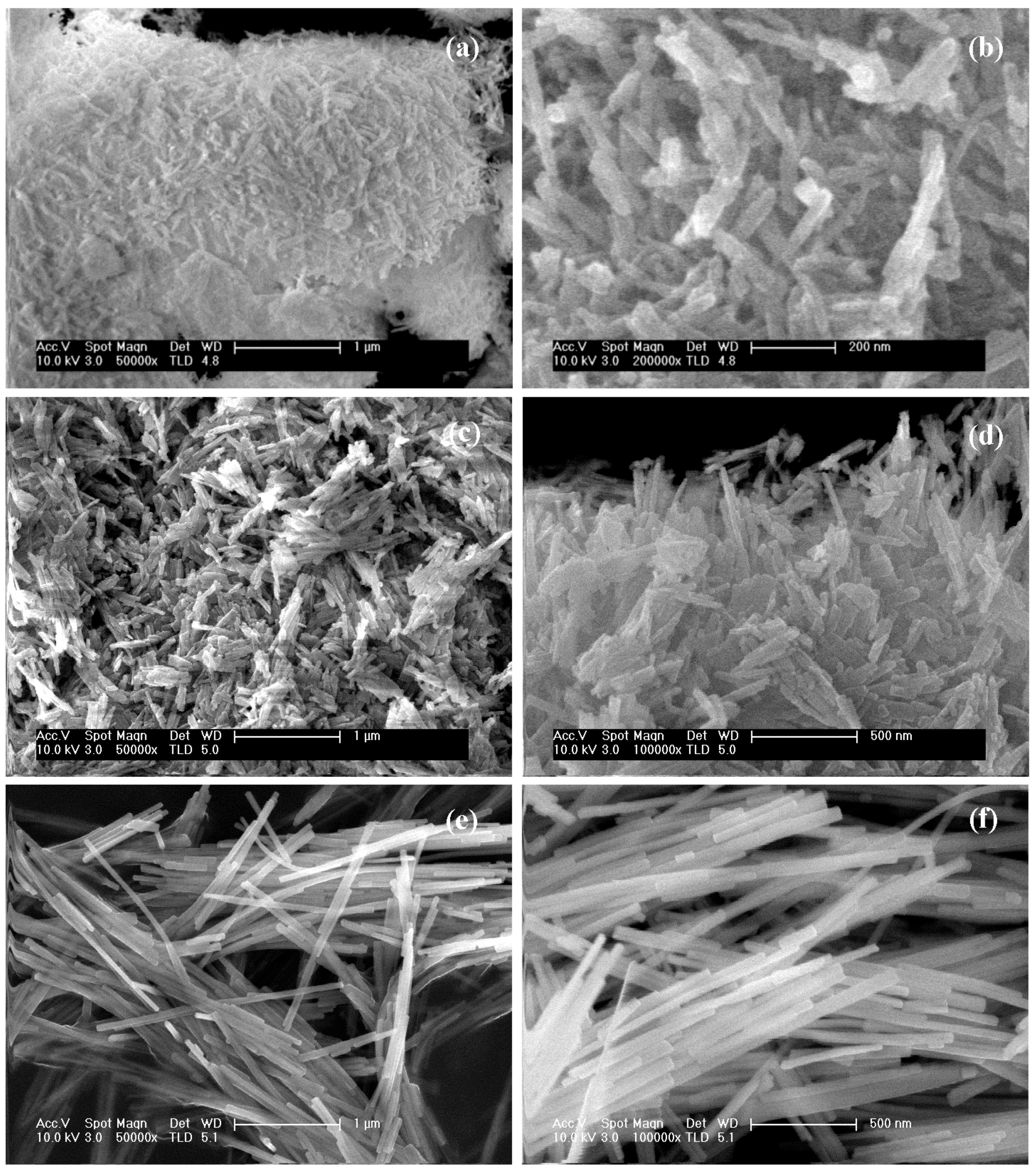 Molecules 21 00401 g003