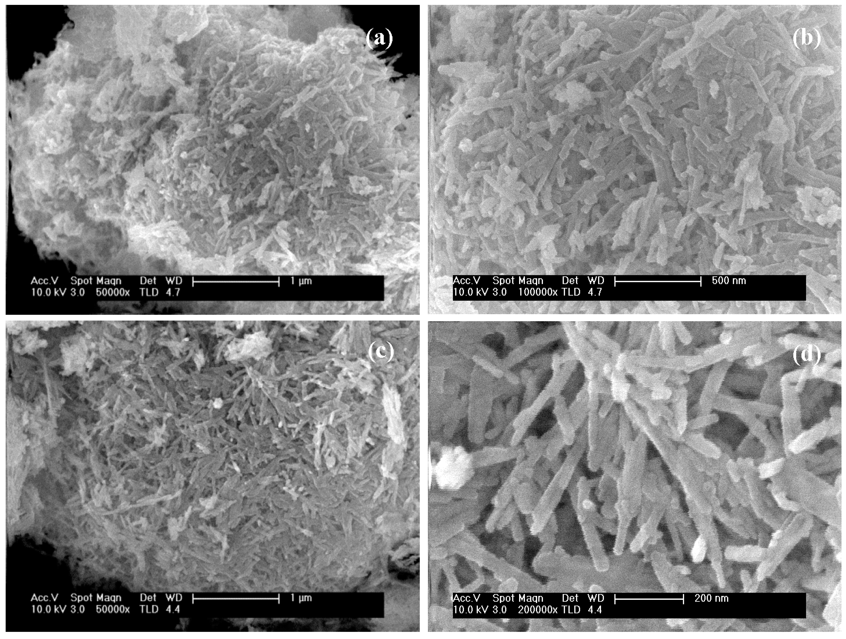 Molecules 21 00401 g004