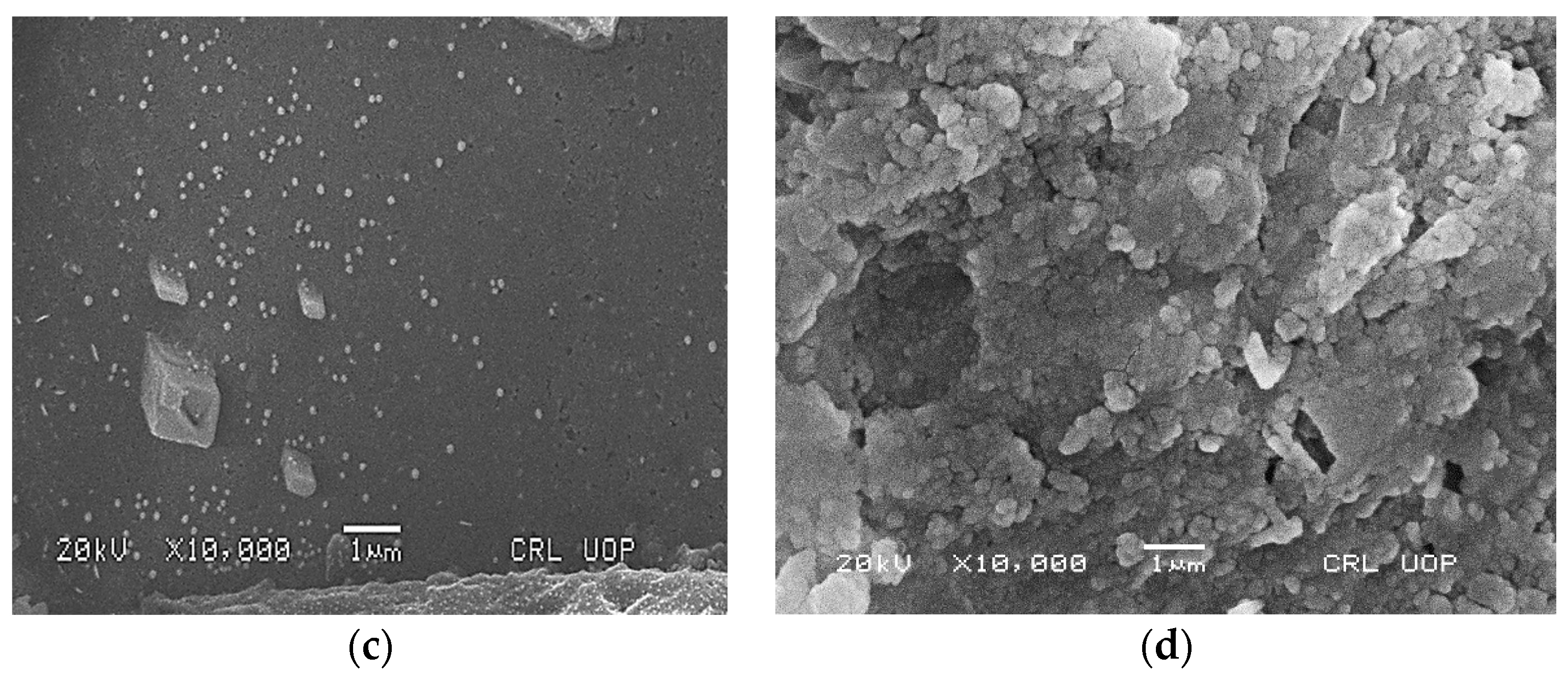 Molecules 21 00411 g004b