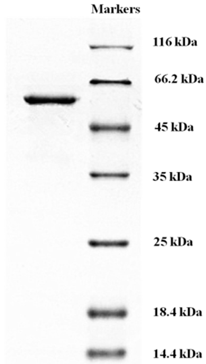 Molecules 21 00415 g004