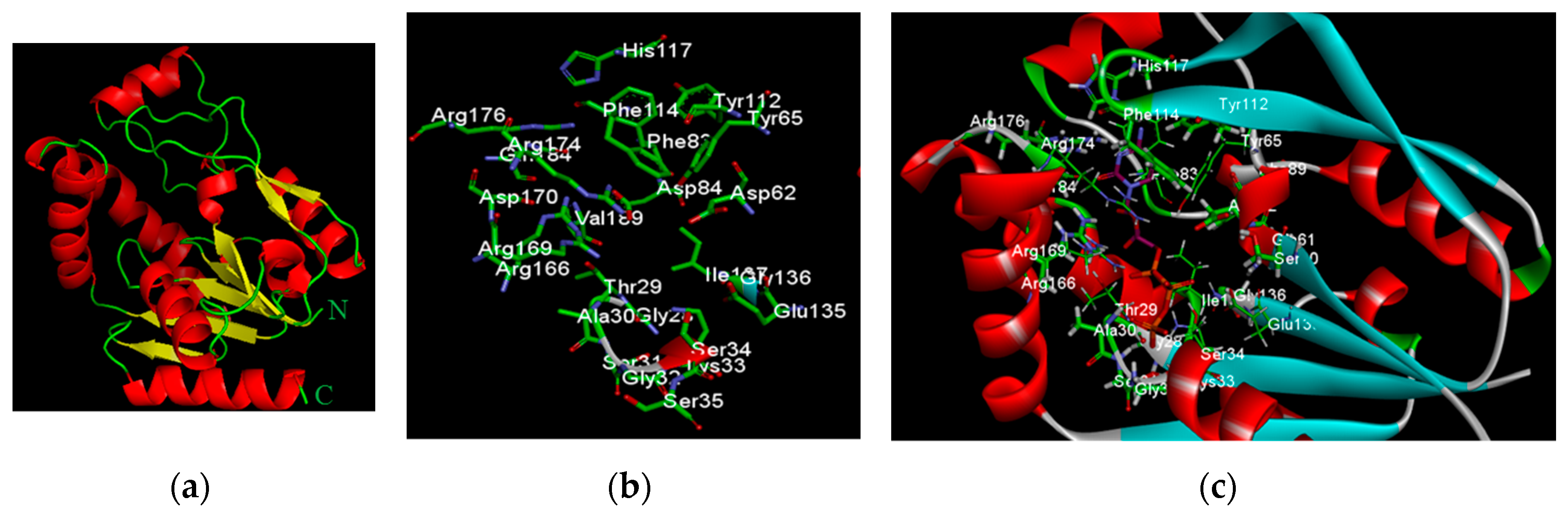 Molecules 21 00417 g002
